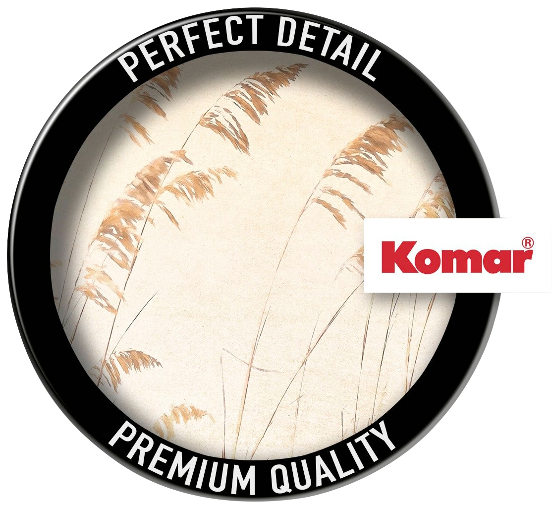 Komar Papier peint intissé »Digitaldruck Vlies -  Dune Grass - Grösse 400 x 250 cm« imprimé Wohnzimmer, Schlafzimmer