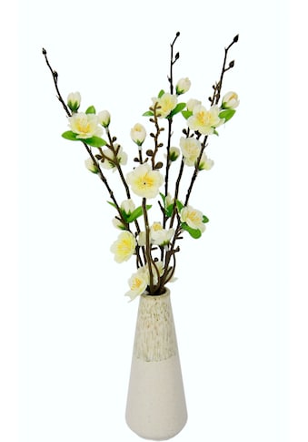 I.GE.A. Kunstblume »Kirschblütenbund«, (1 St.), Vase aus Keramik kaufen