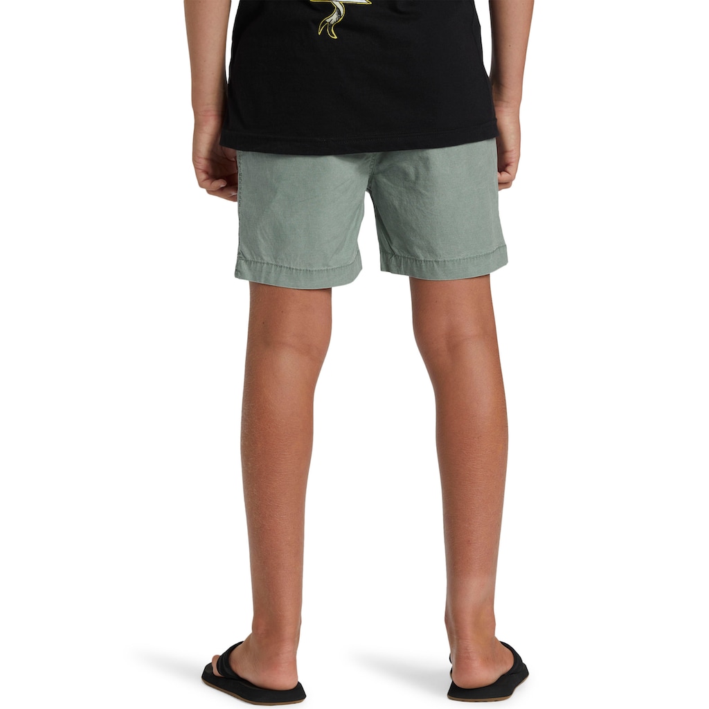 Quiksilver Shorts »TAXER YOUTH«