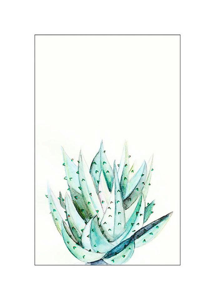 Image of Komar Bild "Aloe Watercolor" Blätter Pflanzen 1 Stk. tlg. Wandbild zur Dekoration - ohne Rahmen