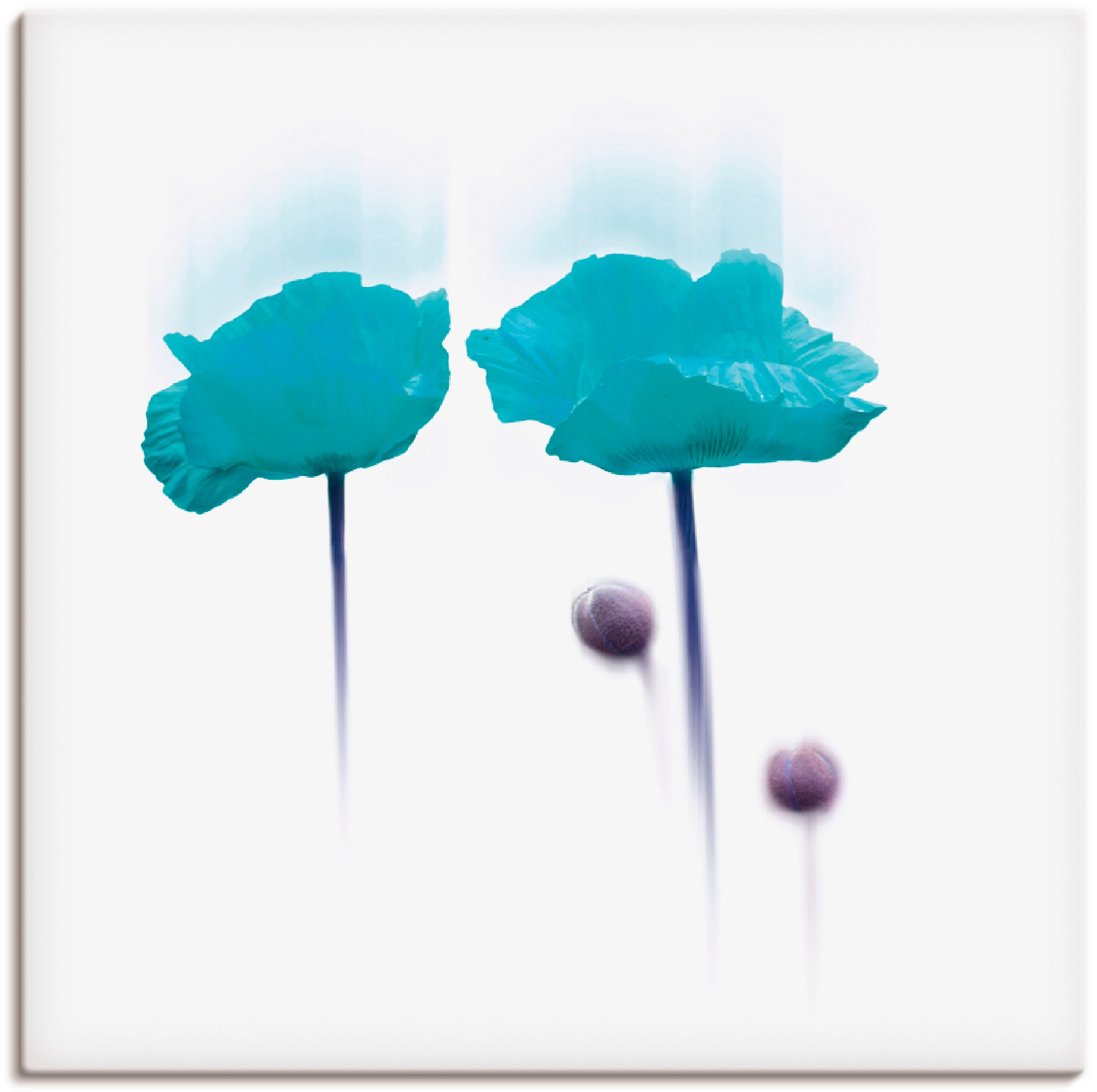 Image of Artland Wandbild »Blüte abstrakt«, Blumen, (1 St.), in vielen Grössen & Produktarten -Leinwandbild, Poster, Wandaufkleber / Wandtattoo auch für Badezimmer geeignet bei Ackermann Versand Schweiz