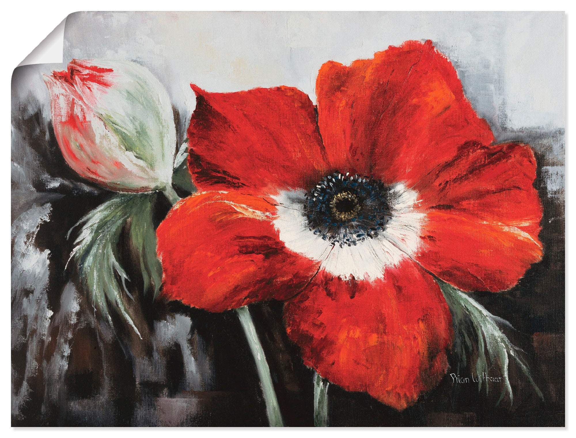 Image of Artland Wandbild »Mohnblumen in voller Blüte«, Blumen, (1 St.), in vielen Grössen & Produktarten -Leinwandbild, Poster, Wandaufkleber / Wandtattoo auch für Badezimmer geeignet bei Ackermann Versand Schweiz