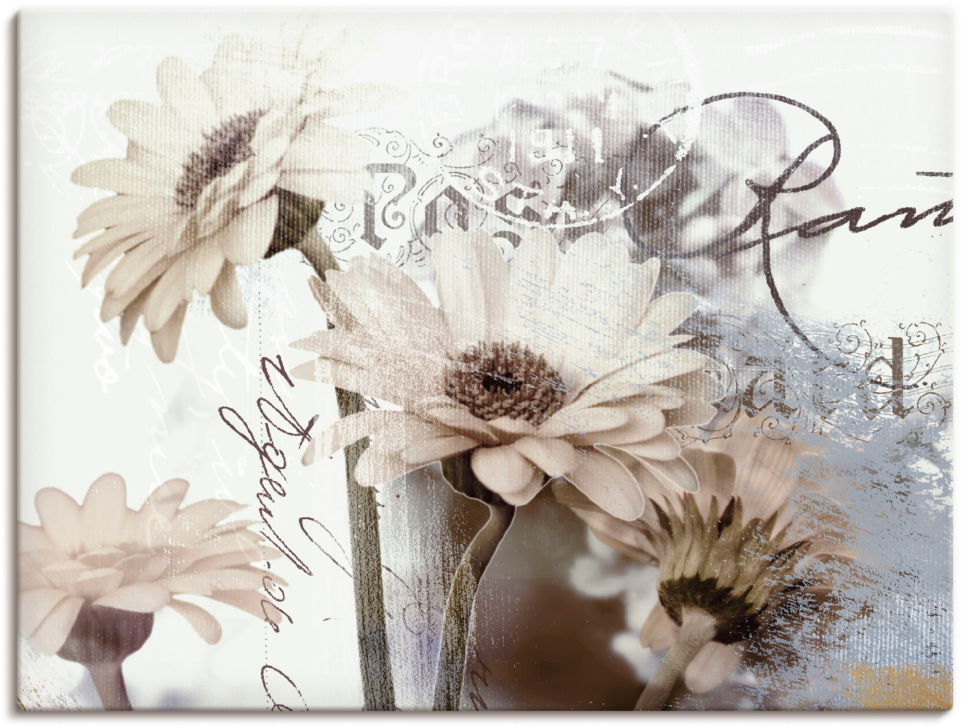 Image of Artland Wandbild "Gerberas Detail" Blumenbilder 1 Stk. tlg. als Leinwandbild, Poster in verschied. Grössen