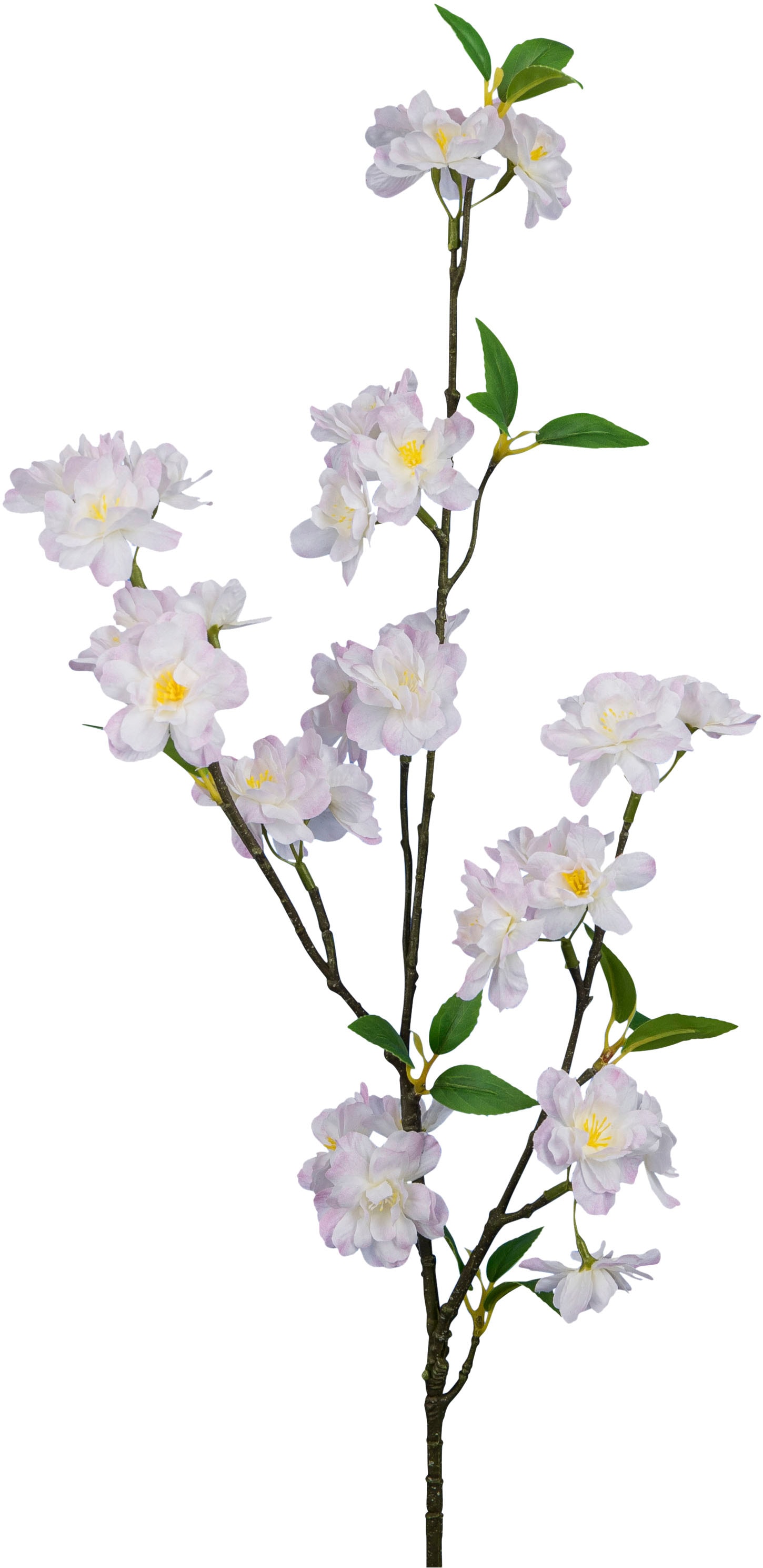 Creativ green Kunstzweig »Kirschblütenzweig« mit traumhaft schönen Blüten