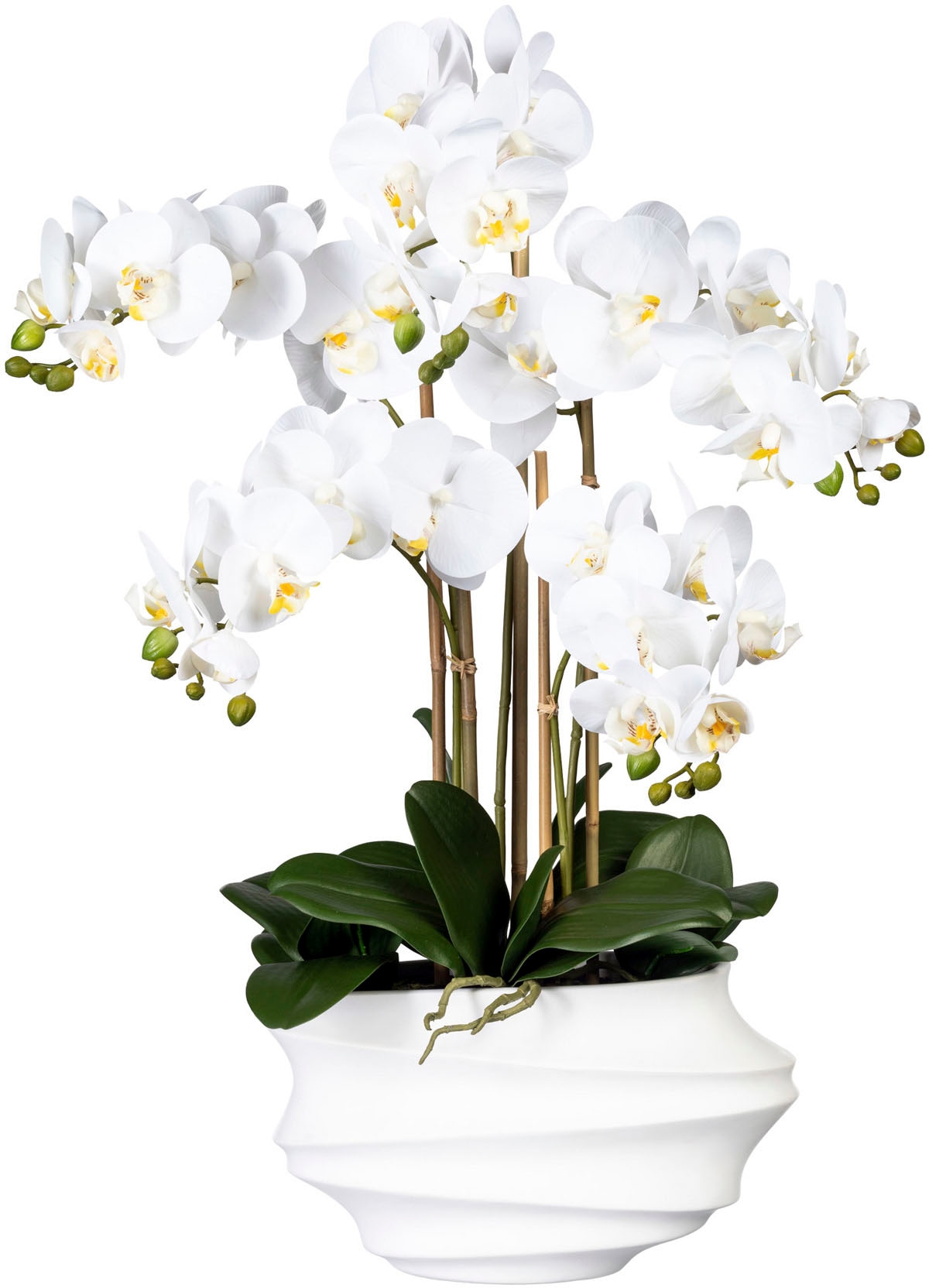 Creativ green Kunstorchidee »Phalaenopsis«, in Design-Kunststoffvase