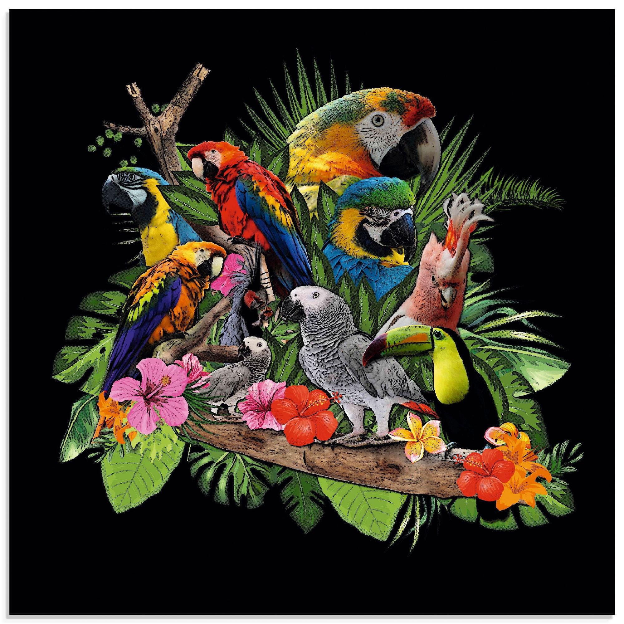 Image of Artland Glasbild "Papageien Graupapagei Kakadu Dschungel" Vögel 1 Stk. tlg. in verschiedenen Grössen