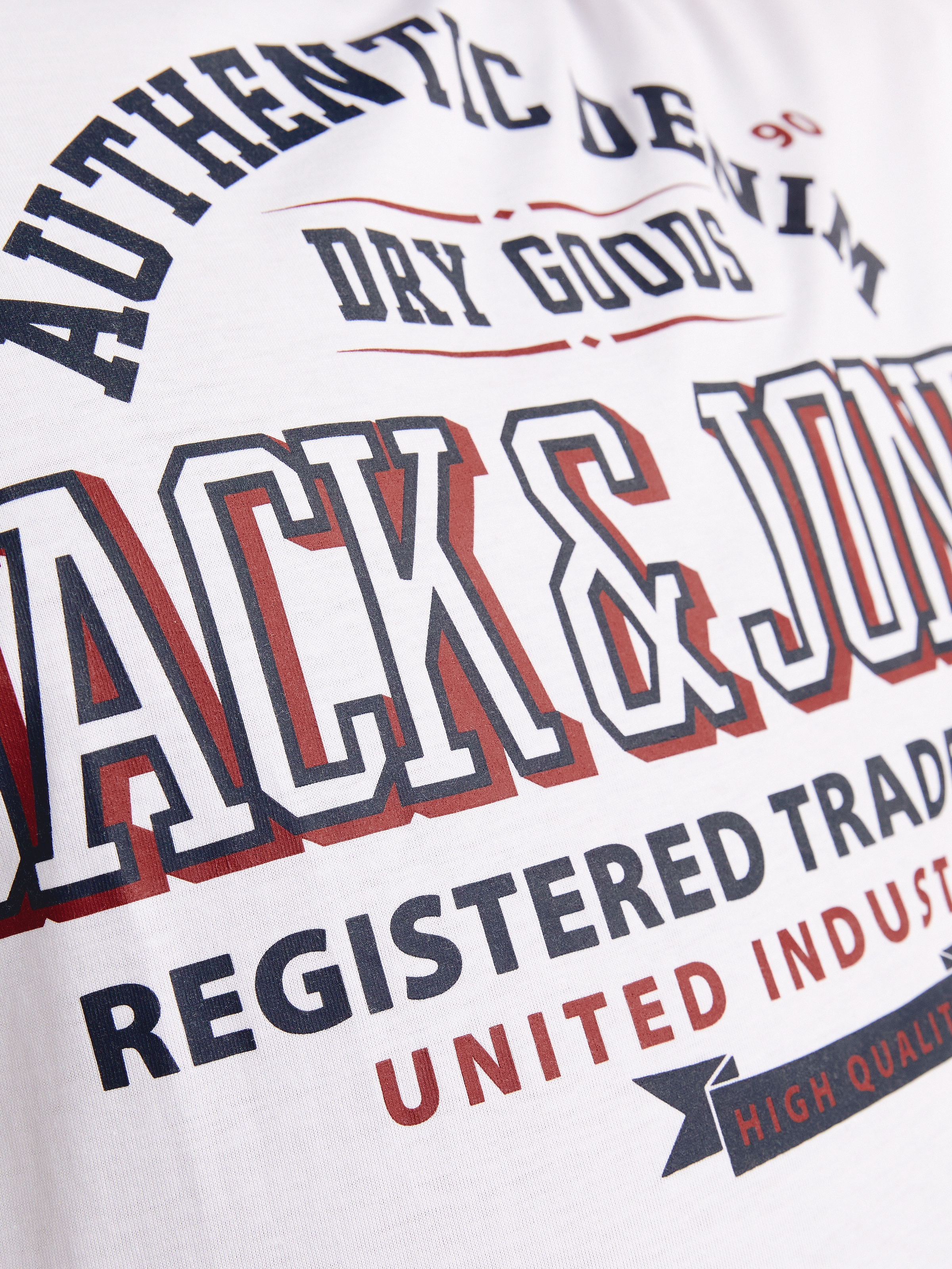 Jack & Jones PlusSize T-Shirt »JJELOGO TEE SS O-NECK 2 COL AW24 S PLS«, mit Frontprint