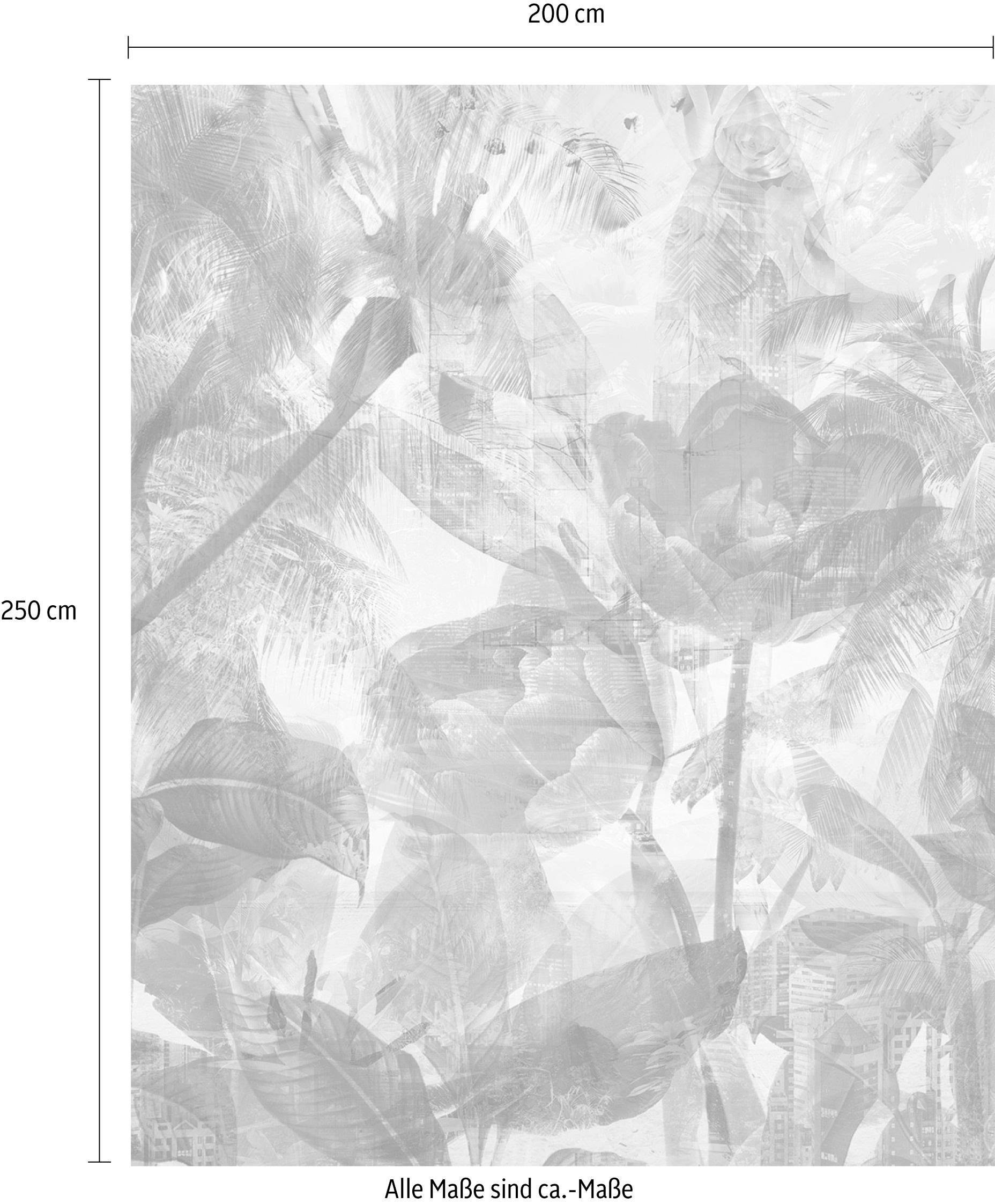 Komar Papier peint intissé »Digitaldruck Vlies -  Metropical - Grösse 200 x 250 cm« imprimé Wohnzimmer, Schlafzimmer