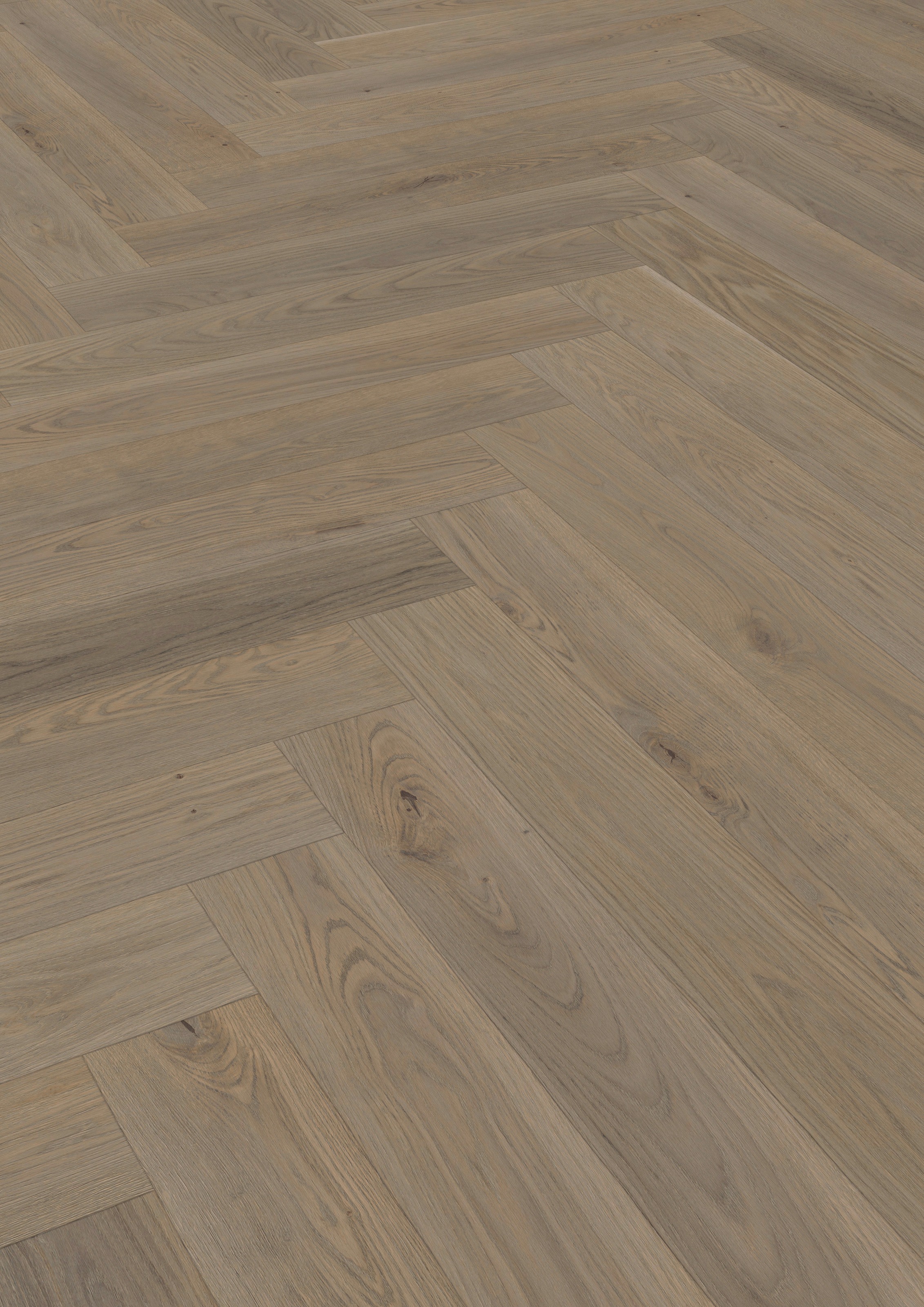 Image of ter Hürne Parkett »Eiche rauchgrau«, mit fühlbarer Oberfläche bei Ackermann Versand Schweiz