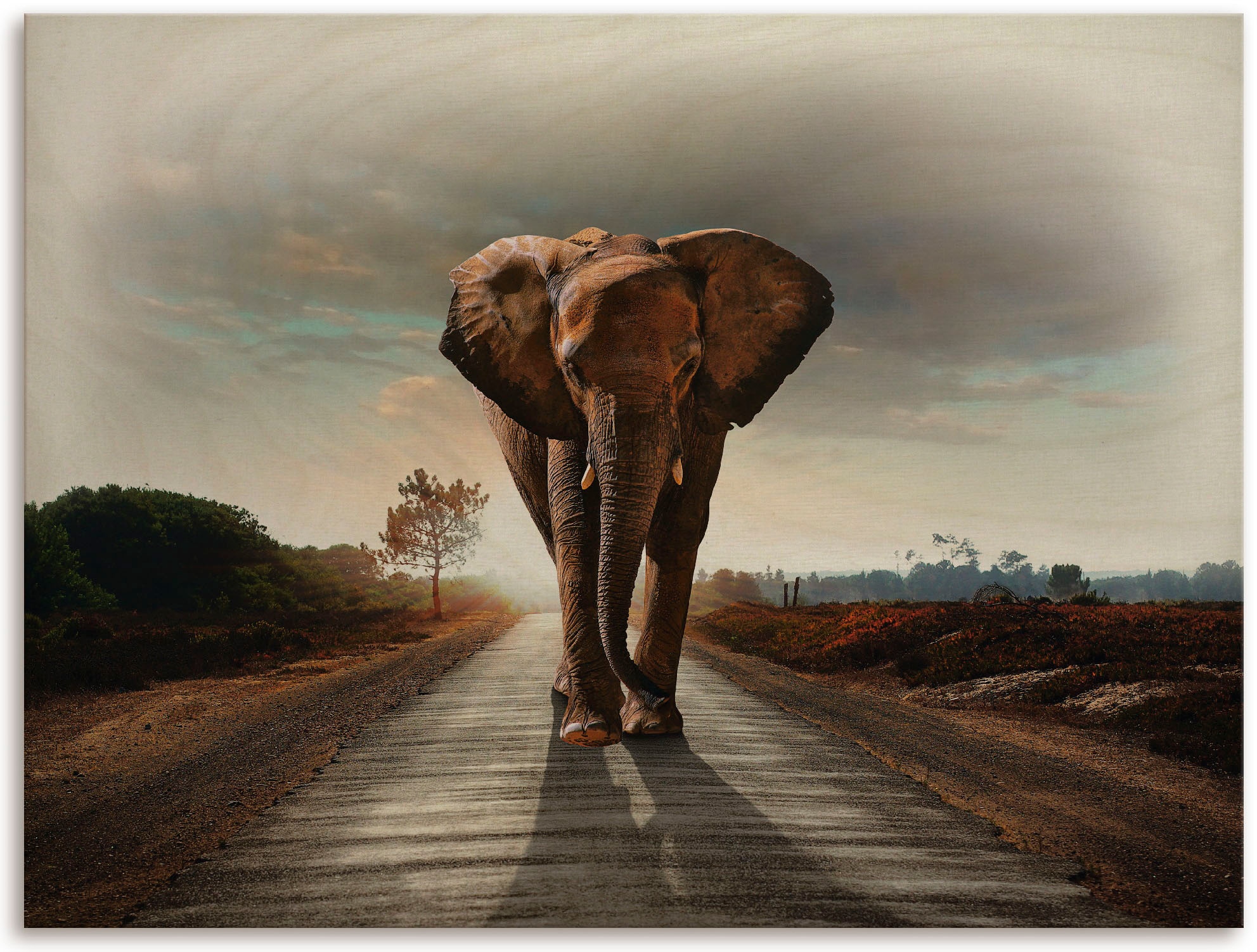 Holzbild »Ein Elefant läuft auf der Strasse«, (1 St.)