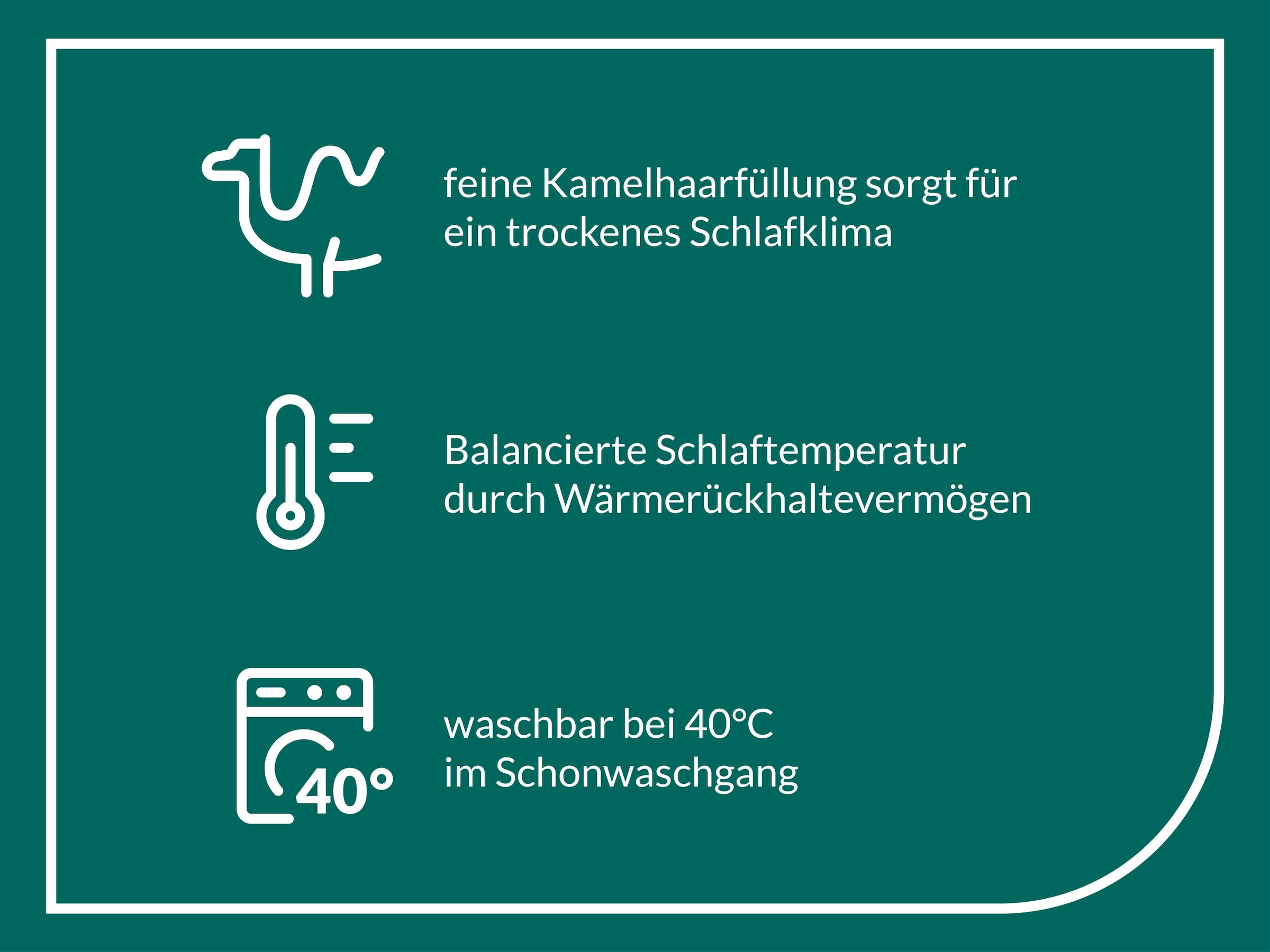 fan Naturhaarbettdecke »Gobi, Bettdecken für Sommer und Winter, Decke«, extrawarm, Füllung Kamelhaar, Bezug Baumwolle, (1 St.), Bettdecke 135x200 cm, 155x220 cm und weiteren Grössen, Made in Germany