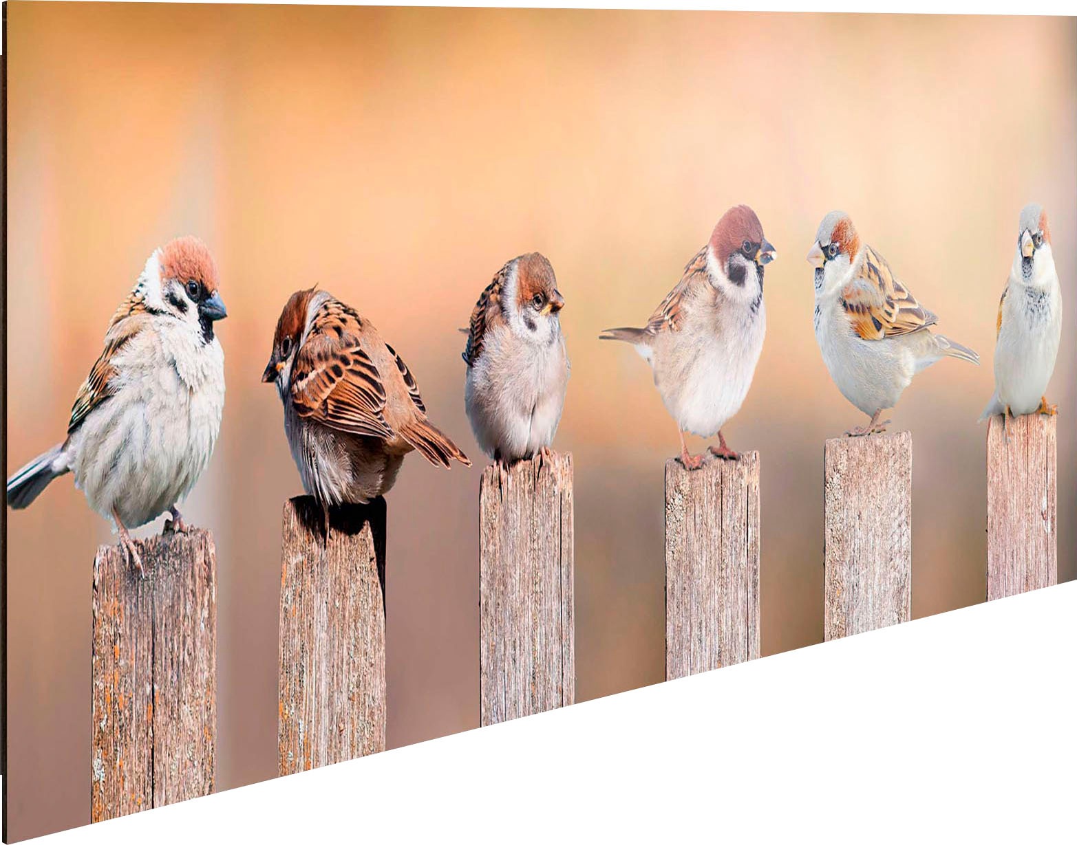 Reinders! Holzbild »Deco Panel 30x90 Bird Family«