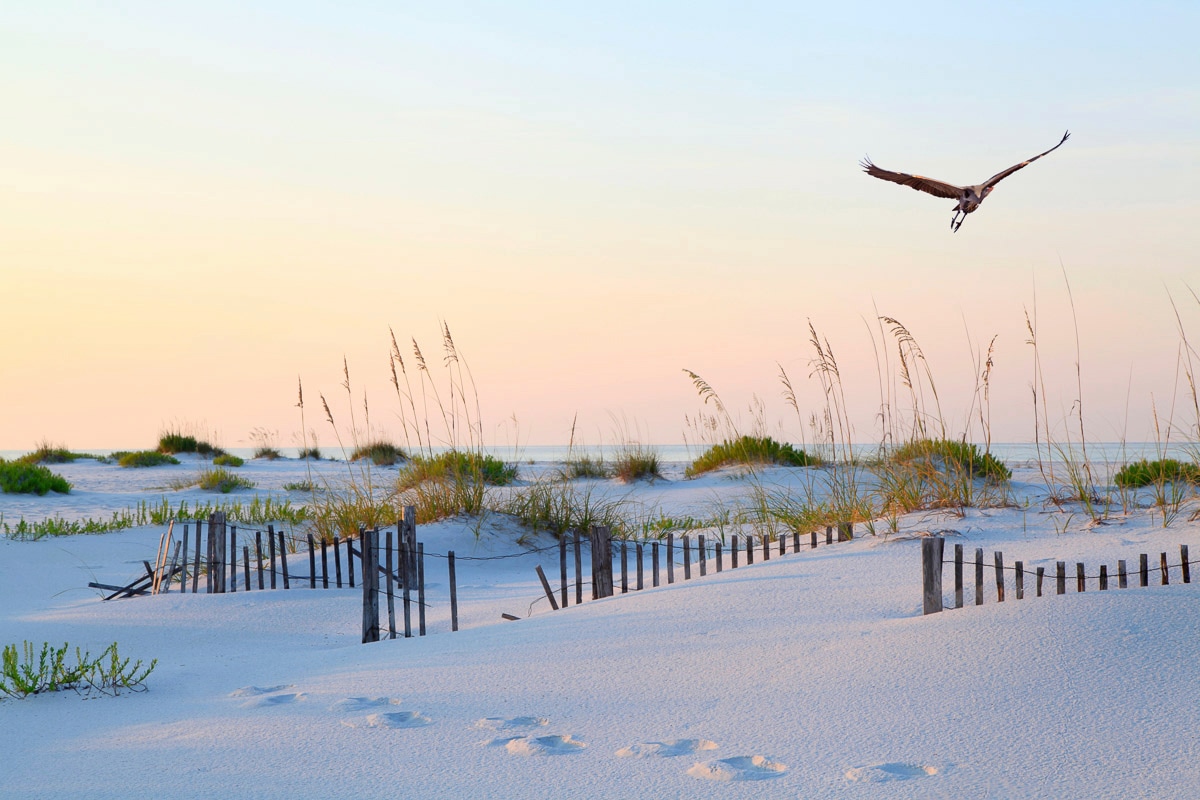 Image of Papermoon Fototapete "Weisser Sand Florida Beach"