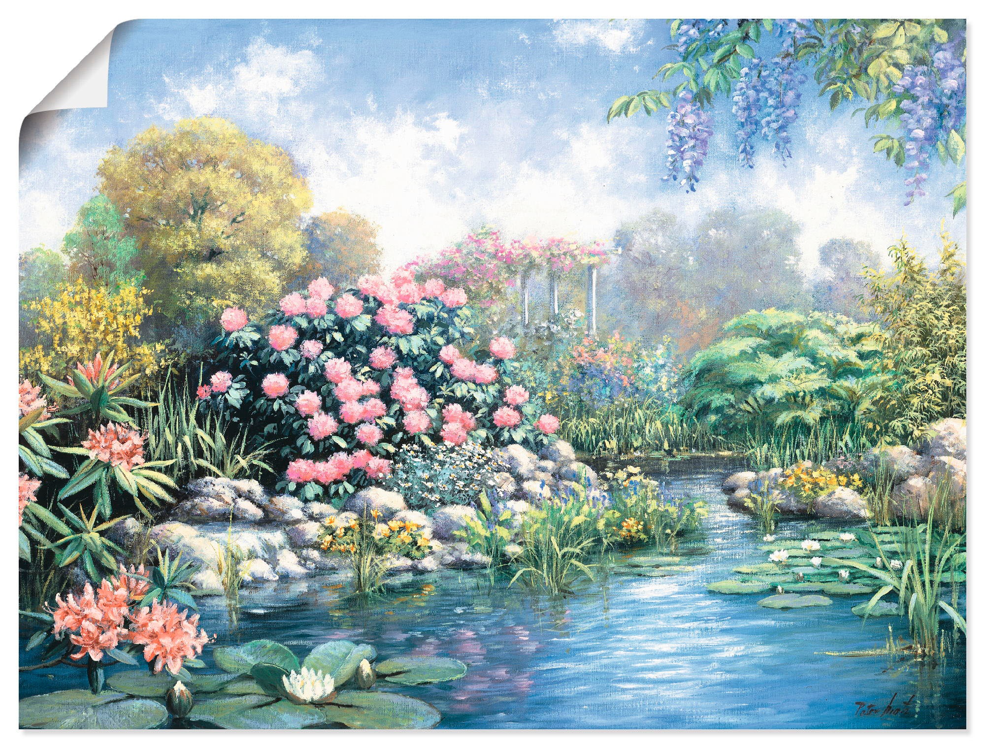 Image of Artland Wandbild »Alpenrose«, Garten, (1 St.), in vielen Grössen & Produktarten -Leinwandbild, Poster, Wandaufkleber / Wandtattoo auch für Badezimmer geeignet bei Ackermann Versand Schweiz