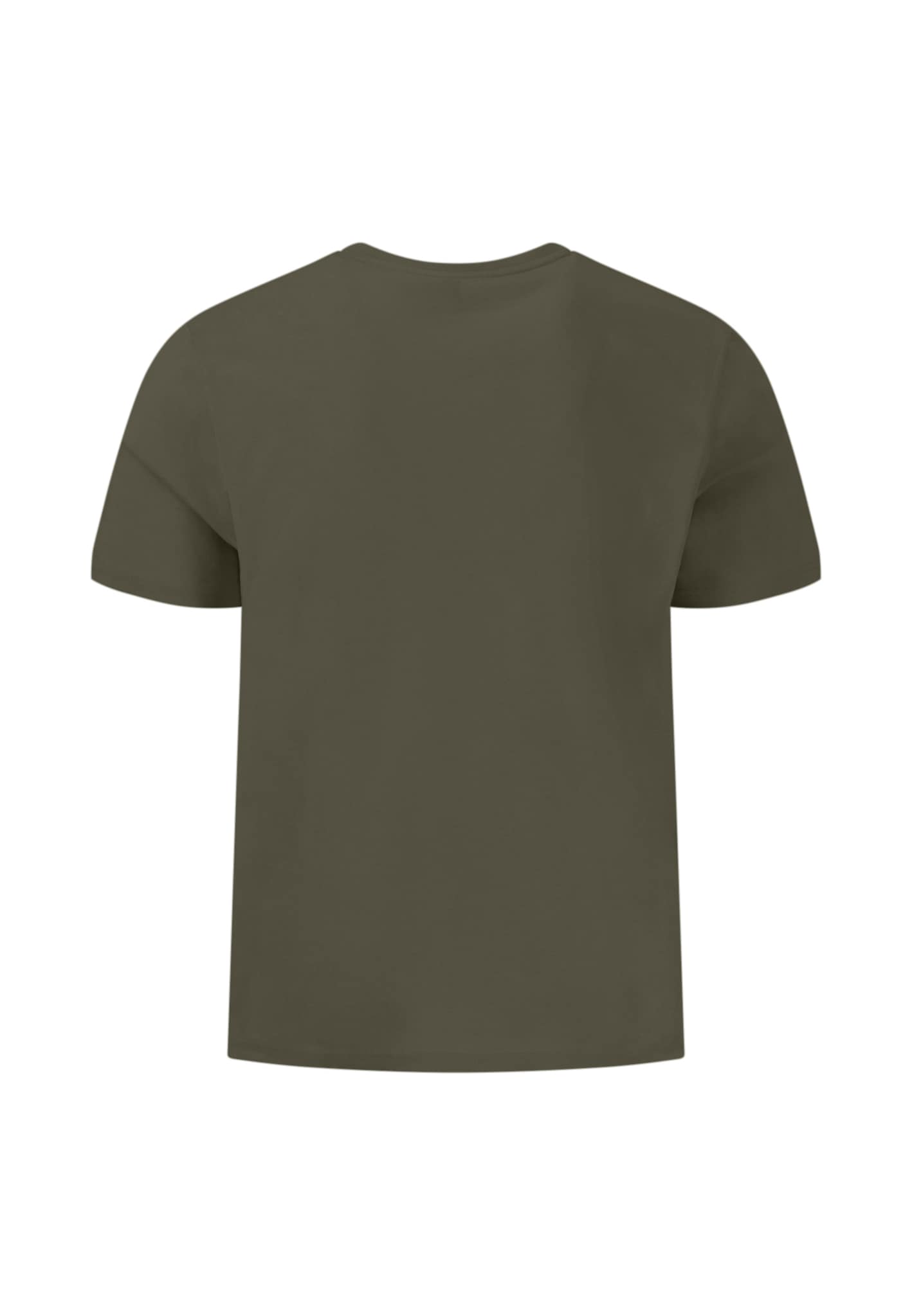 FYNCH-HATTON »FYNCH-HATTON Basic T-Shirt« normale Passform, Rundhalsausschnitt, aus Baumwolle