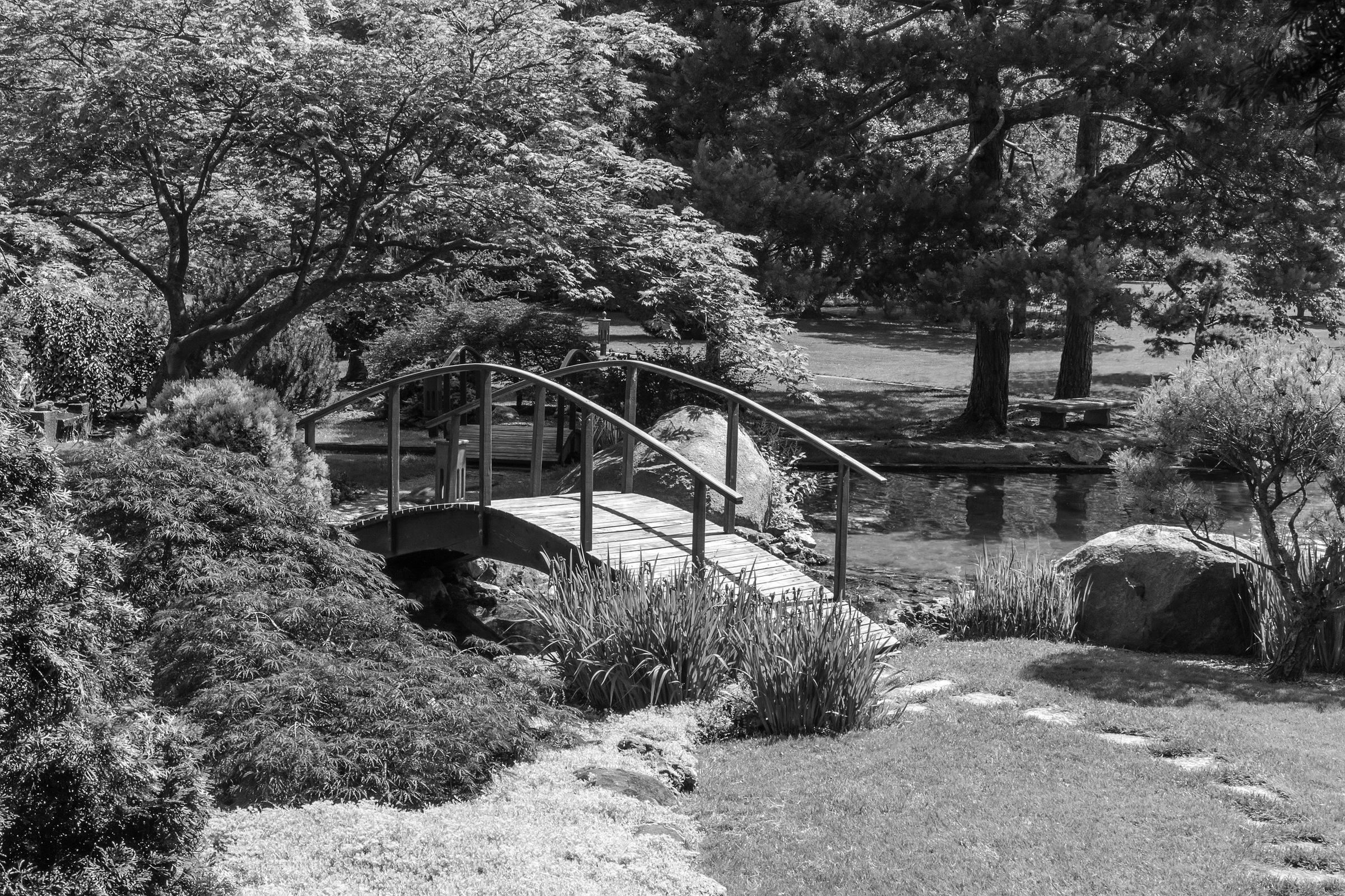 Image of Papermoon Fototapete "Garten Schwarz & Weiss"