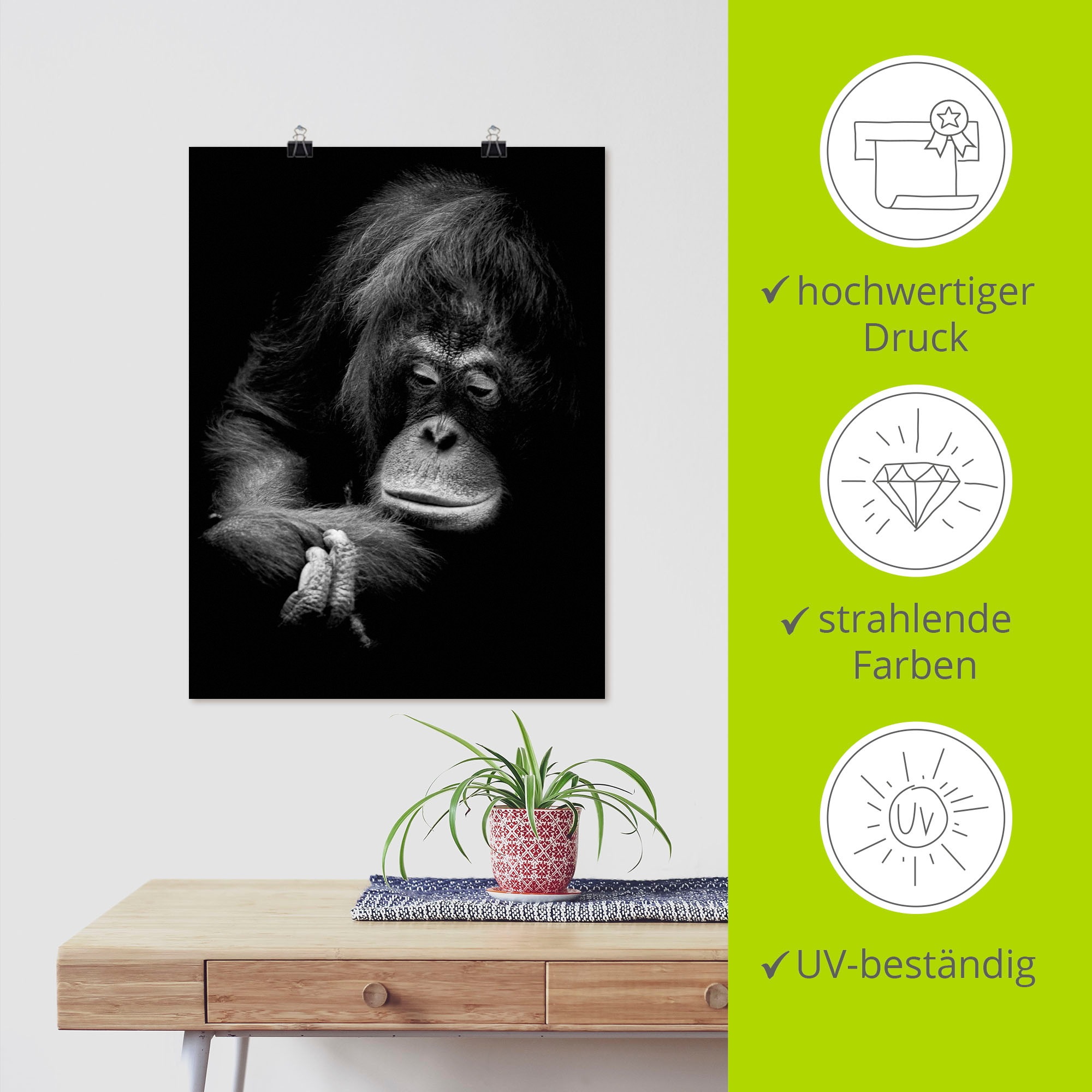 Artland Poster »Der nachdenkliche Orang Utan«, Affenbilder, (1 St.), als Alubild, Leinwandbild, Wandaufkleber oder Poster in versch. Grössen