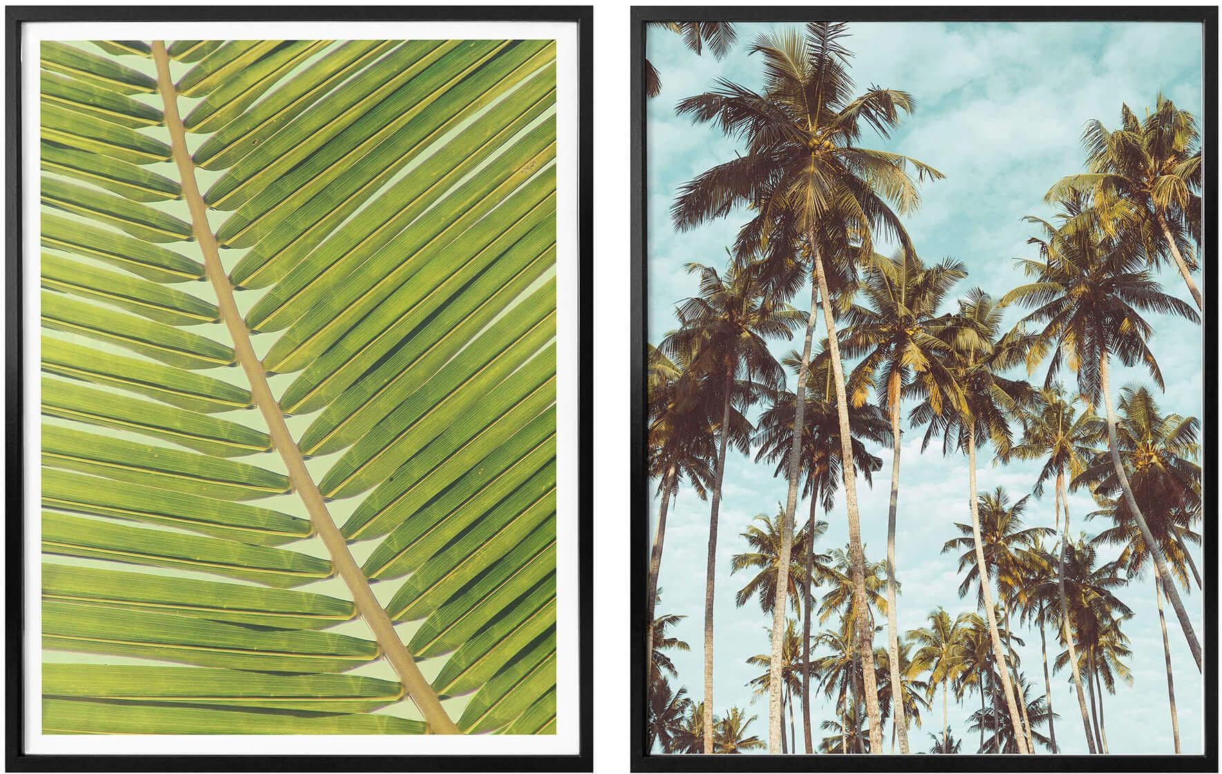 Rahmen, Wall-Art mit Bild, »Palmenblätter«, Poster, St.), reduziert! Wandposter (Set, Wandbild, Poster 2