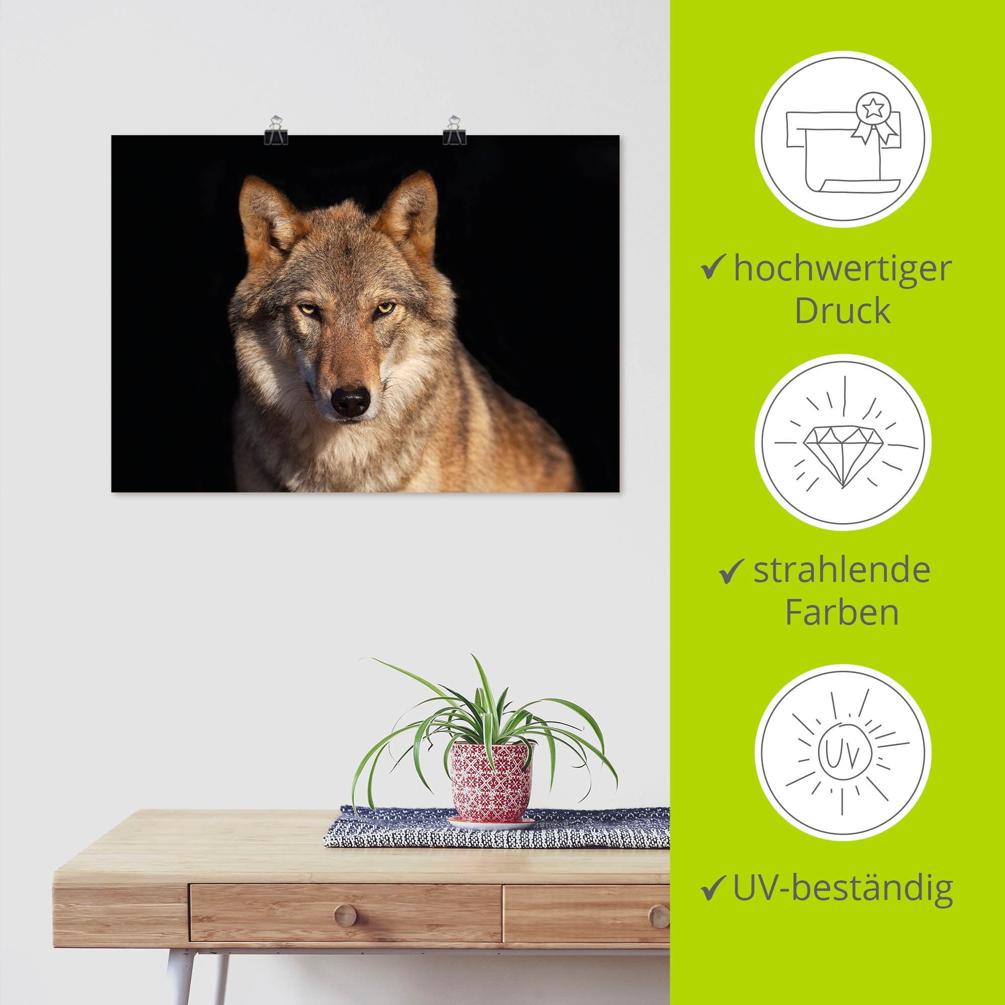 Artland Poster »Wolf« Wildtiere 1 Stk. tlg. ohne Rahmen
