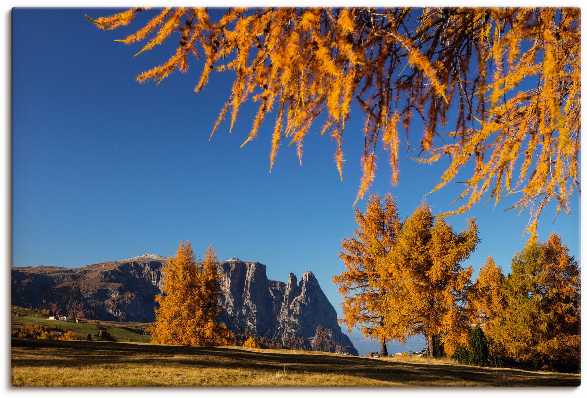 Leinwandbild »Goldener Herbst auf der Seiser Alm«, Wiesen & Baumbilder, (1 St.), auf...