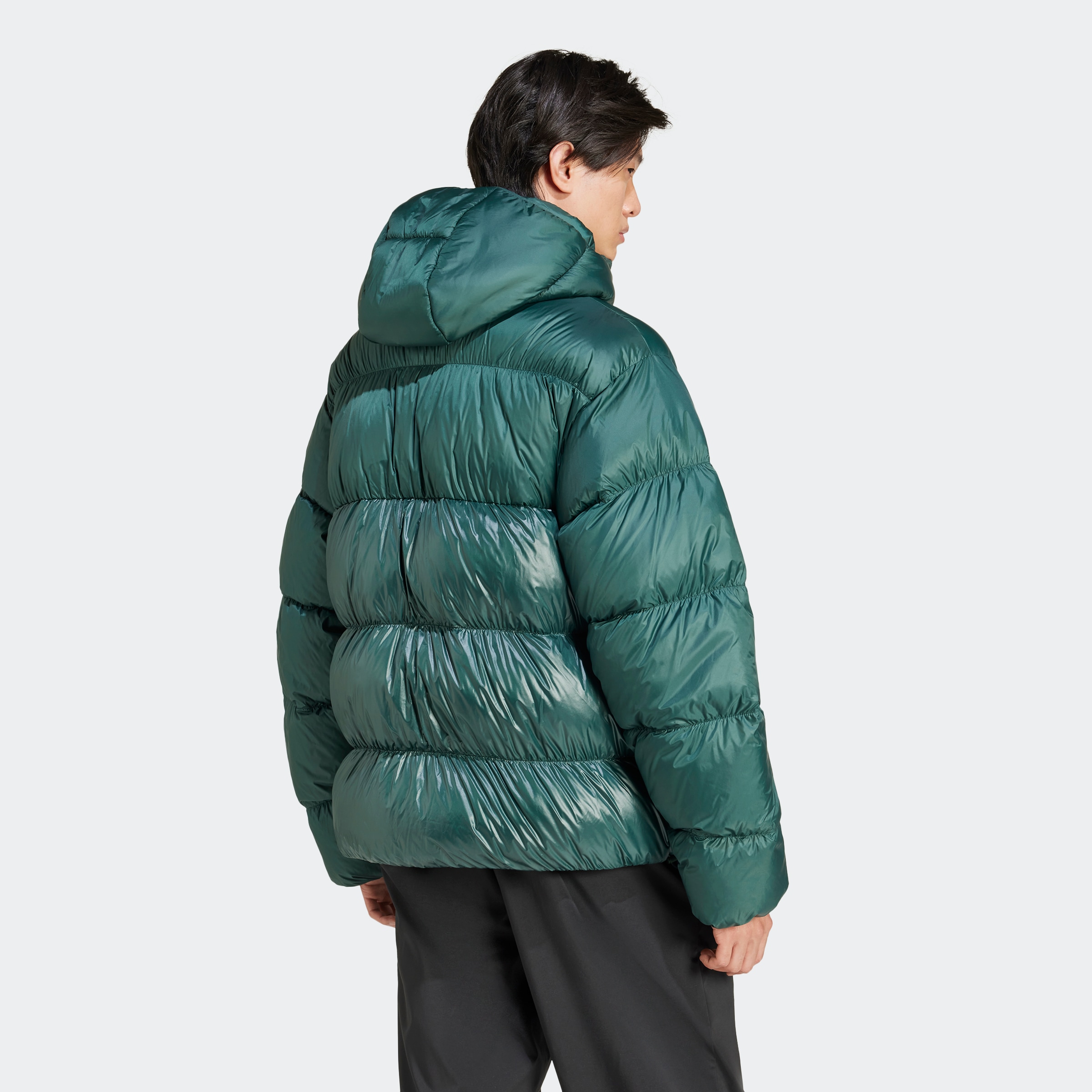 adidas Originals Outdoorjacke »DOWN REGEN ADIC«