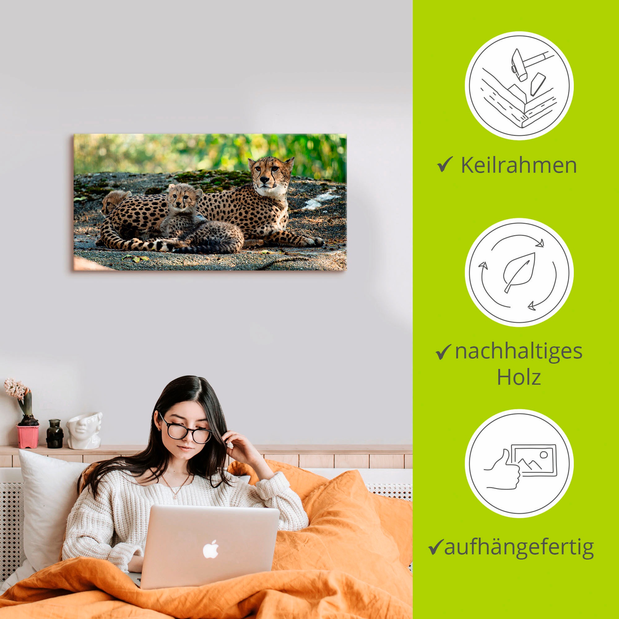 Artland Wandbild »Gepard 2«, Wildtiere, (1 St.), als Leinwandbild, Poster, Wandaufkleber in verschied. Grössen