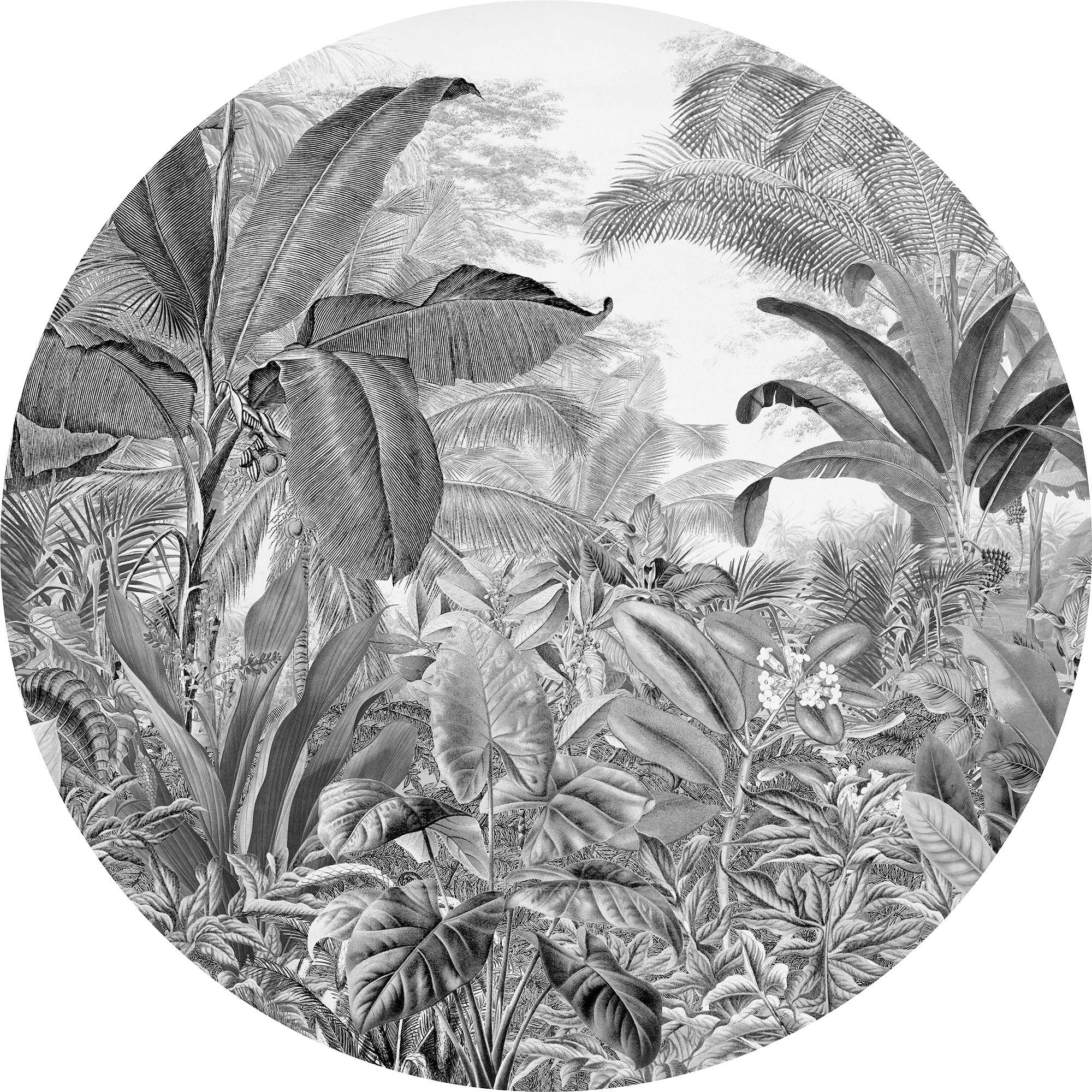 Image of Komar Fototapete "Vlies selbstklebend - Wild Woods - Grösse 125 x 125 cm" bedruckt glatt Wohnzimmer, Schlafzimmer