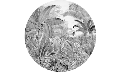 Komar Fototapete »Wild Woods«, Comic-botanisch, 125 x 125 cm kaufen