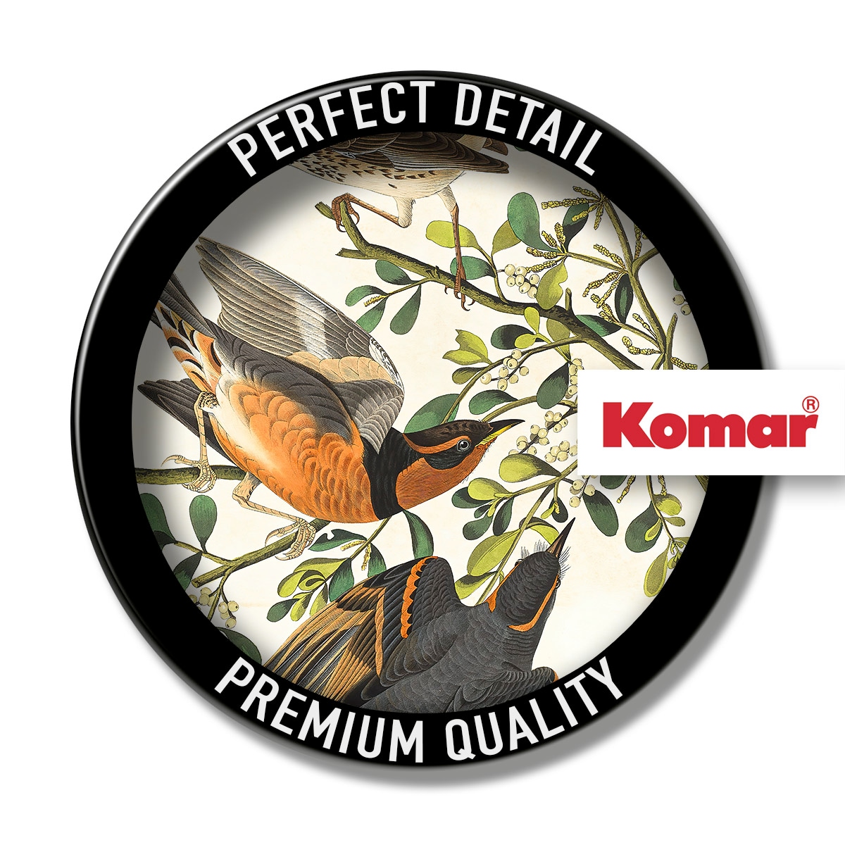 Komar Leinwandbild »Heidi - Grösse 30 x 40 cm« Natur 1 Stk. tlg. Keilrahmenbild mi Echtholzrahmen