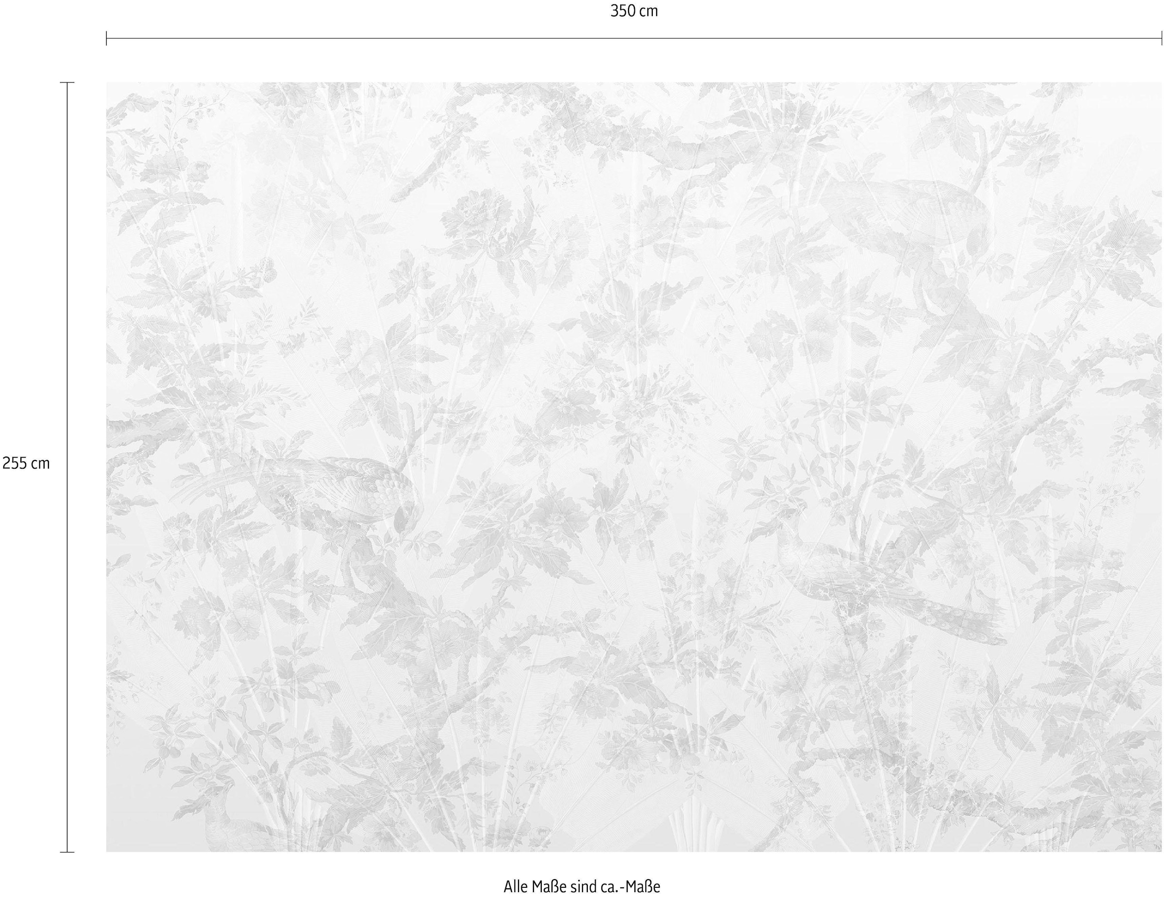 Komar Vliestapete »Digitaldruck Vlies -  Oiseau de Paradis - Grösse 350 x 255 cm« bedruckt glatt Wohnzimmer, Schlafzimmer