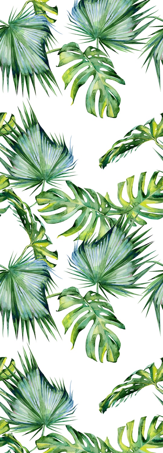 Image of queence Vinyltapete "Delia" Motiv bedruckt botanisch floral gemustert natürlich glatt 90x250cm, selbstklebend, kinderleichte Anbringung, Sticker
