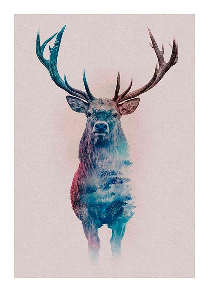 Image of Komar Bild "Animals Forest Deer" Tiere 1 Stk. tlg. Wandbild zur Dekoration - ohne Rahmen