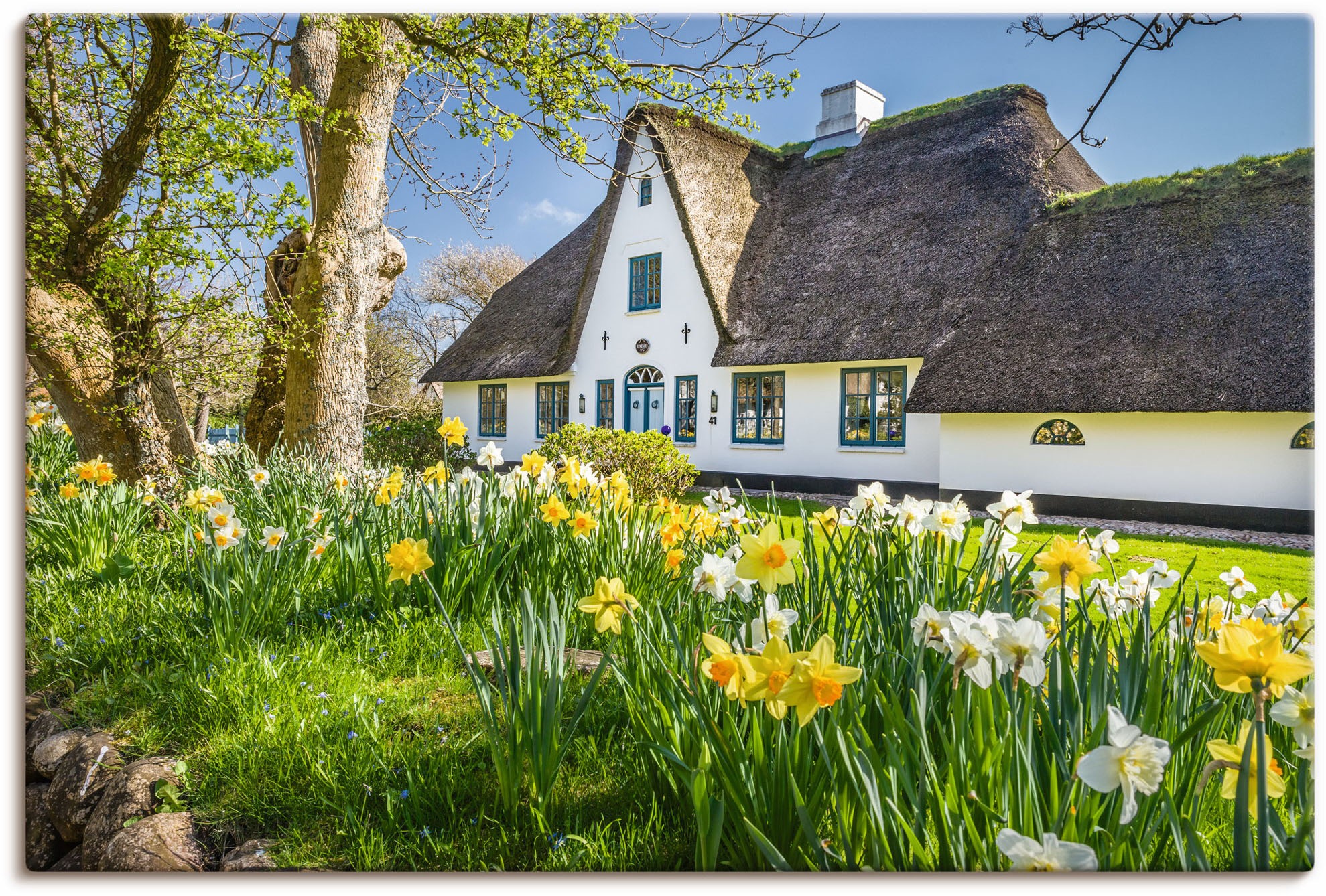 Image of Artland Wandbild »Reetdachhaus auf Sylt im Frühling«, Gebäude, (1 St.), in vielen Grössen & Produktarten - Alubild / Outdoorbild für den Aussenbereich, Leinwandbild, Poster, Wandaufkleber / Wandtattoo auch für Badezimmer geeignet bei Ackermann Versand Sch