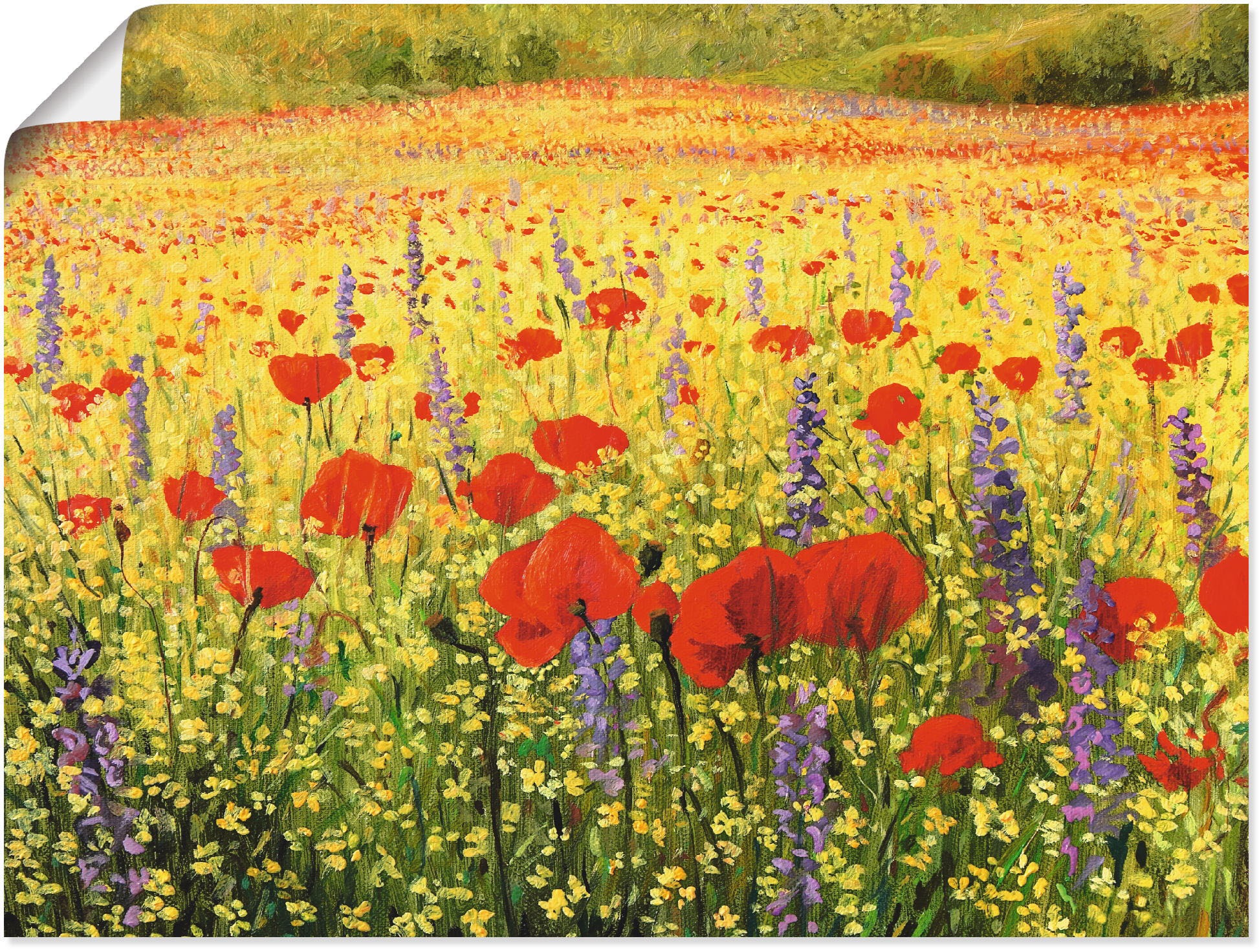 Image of Artland Wandbild »Mohnblumenfeld«, Felder, (1 St.), in vielen Grössen & Produktarten - Alubild / Outdoorbild für den Aussenbereich, Leinwandbild, Poster, Wandaufkleber / Wandtattoo auch für Badezimmer geeignet bei Ackermann Versand Schweiz
