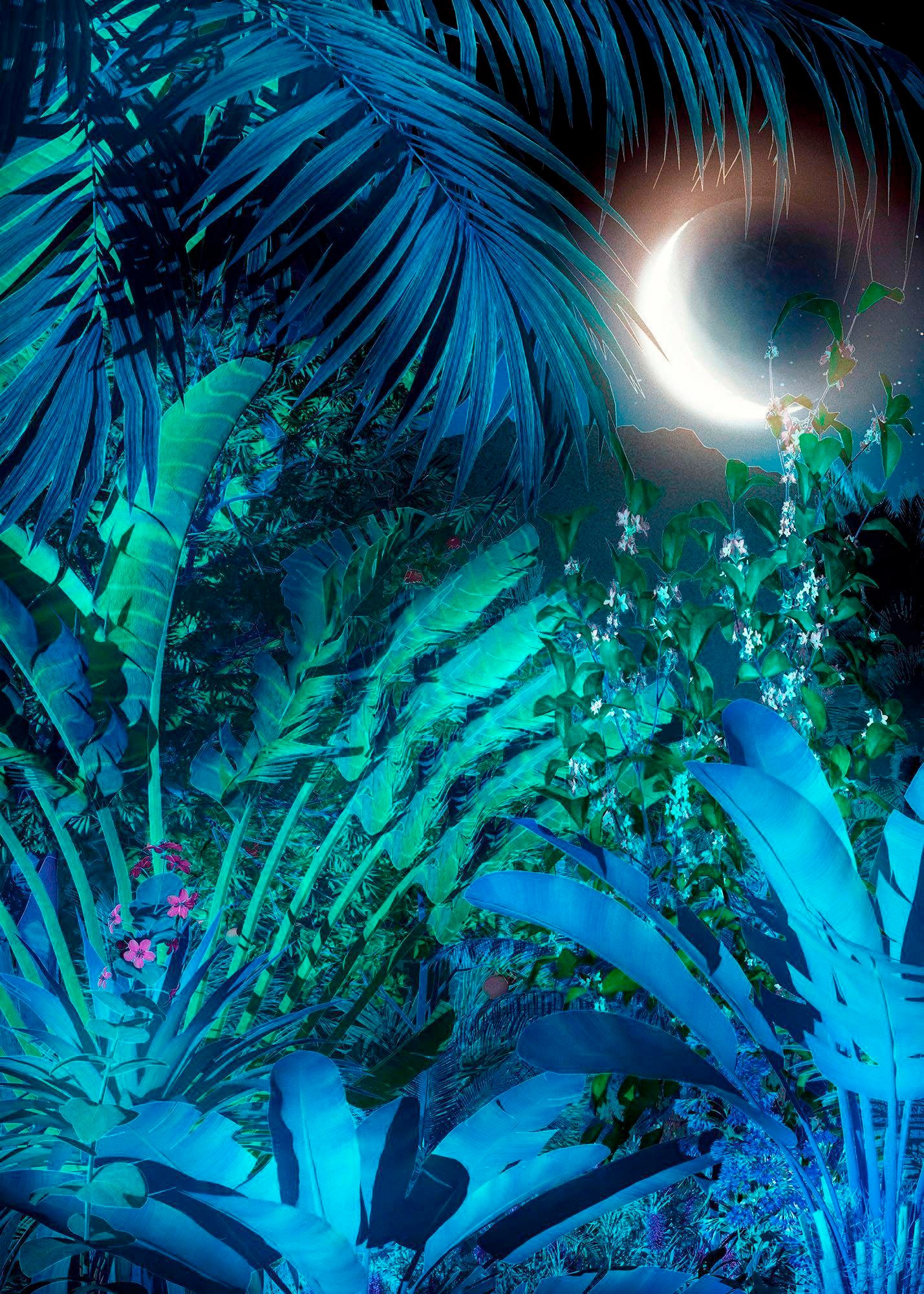 Image of Komar Vliestapete "Digitaldruck Vlies - Intense - Grösse 200 x 280 cm" bedruckt glatt Wohnzimmer, Schlafzimmer
