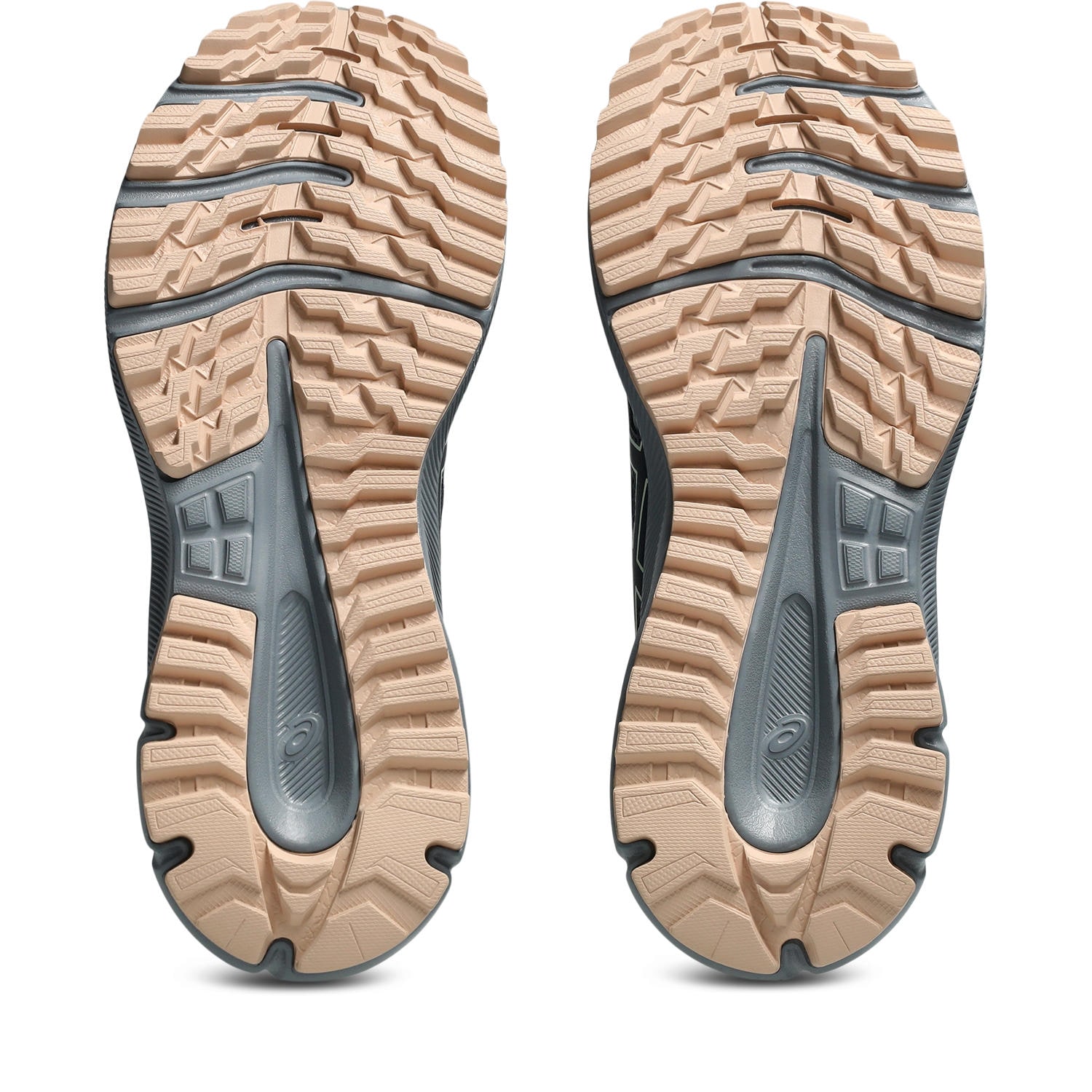 Asics Trailrunningschuh »TRAIL SCOUT 3«