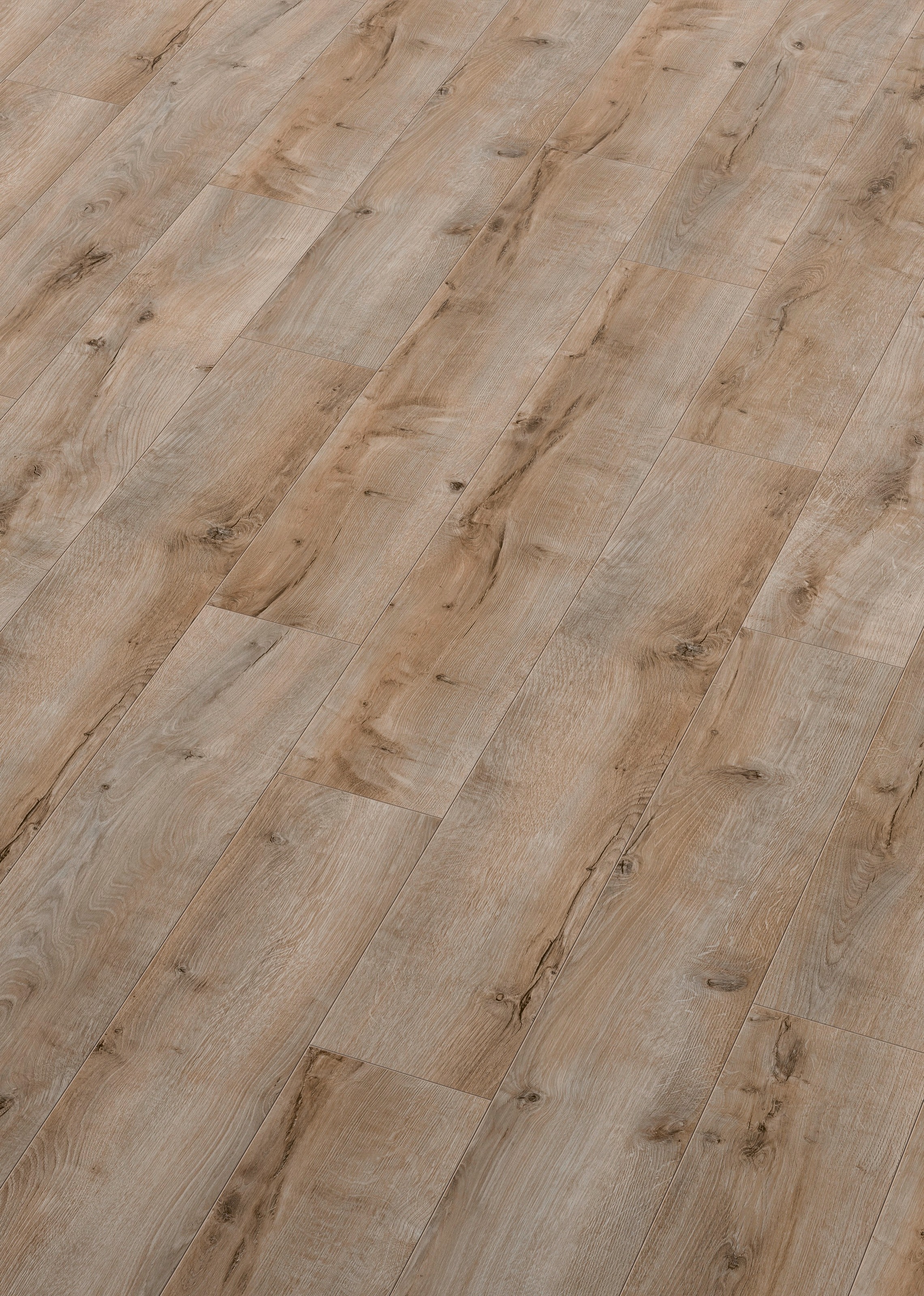 Image of ter Hürne Laminat »Eiche weidengrau«, mit fühlbarer Oberfläche und Klicksystem bei Ackermann Versand Schweiz