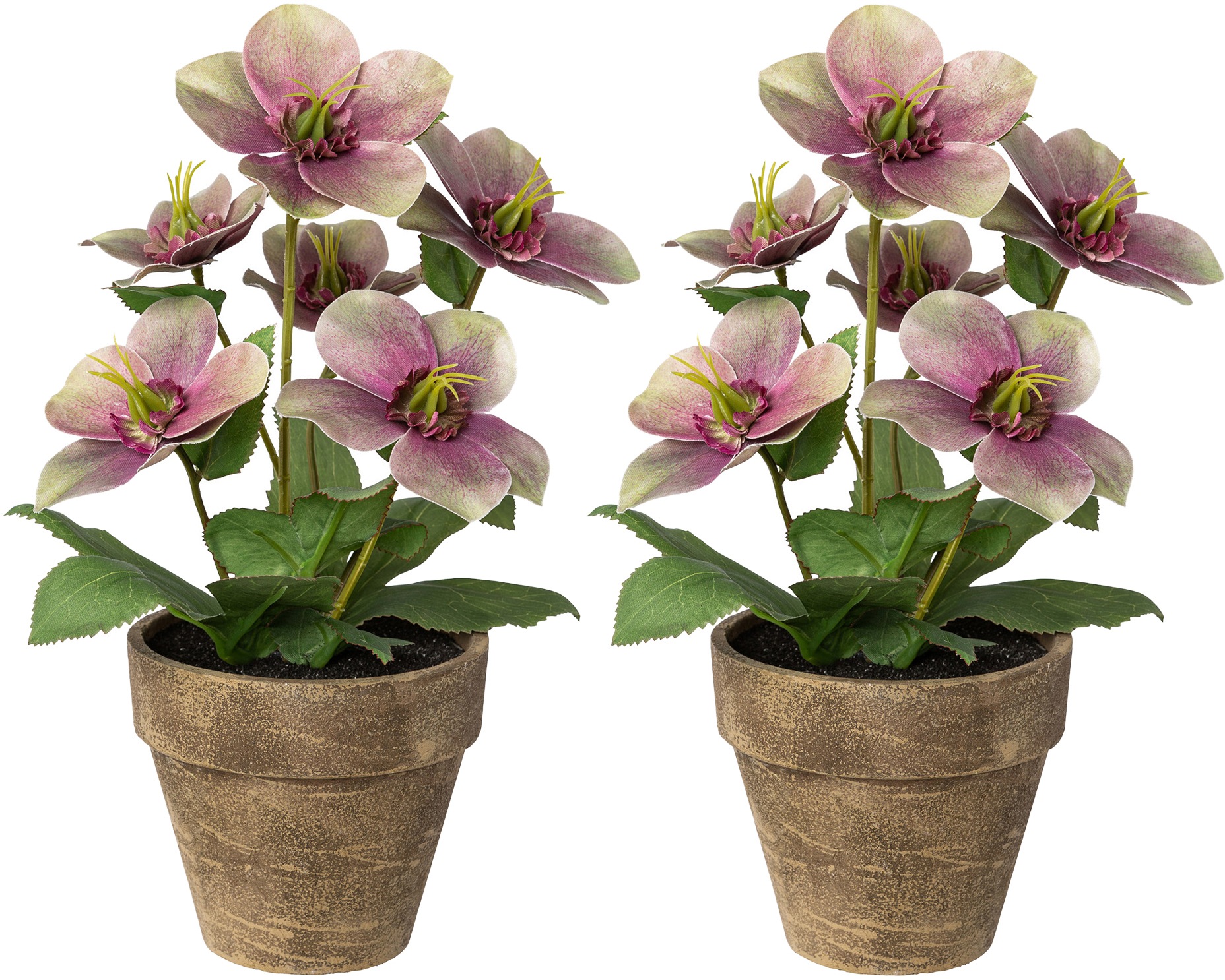 Image of Creativ deco Kunstpflanze, (Set, 2 St.), 2er Set, inkl. Übertopf bei Ackermann Versand Schweiz