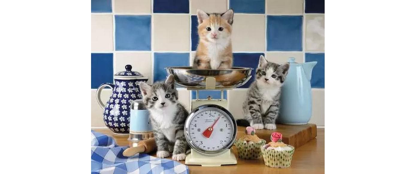 Ravensburger Puzzle »Kätzchen in der Küche« fabriqué en Allemagne