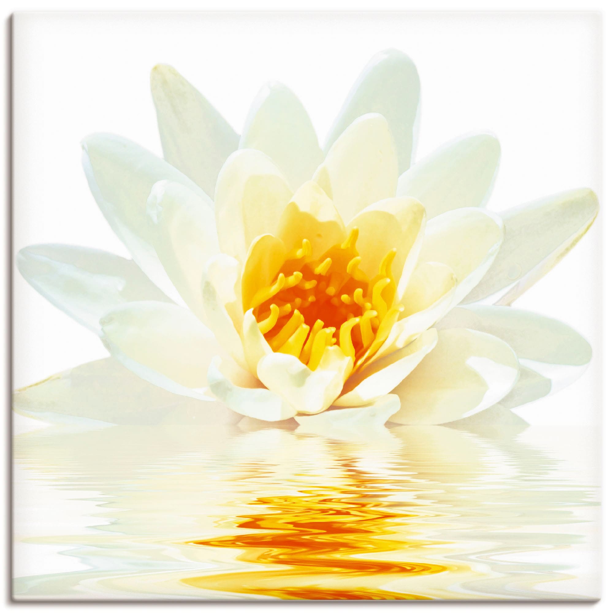 Image of Artland Leinwandbild "Lotusblume schwimmt im Wasser" Blumen 1 Stk. tlg. auf Holzrahmen gespannt