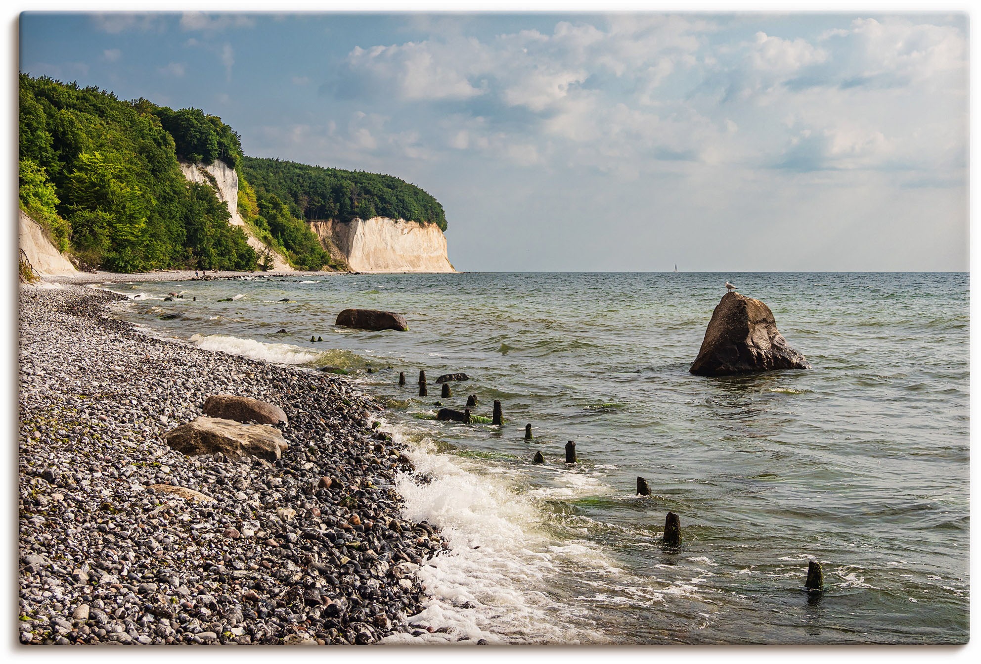 Image of Artland Wandbild »Kreidefelsen an der Küste der Ostsee«, Küstenbilder, (1 St.), in vielen Grössen & Produktarten - Alubild / Outdoorbild für den Aussenbereich, Leinwandbild, Poster, Wandaufkleber / Wandtattoo auch für Badezimmer geeignet bei Ackermann Ver