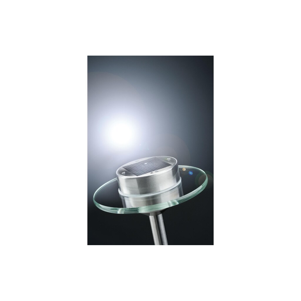 Paulmann LED Sockelleuchte »LED Solarspi«, 1 flammig-flammig