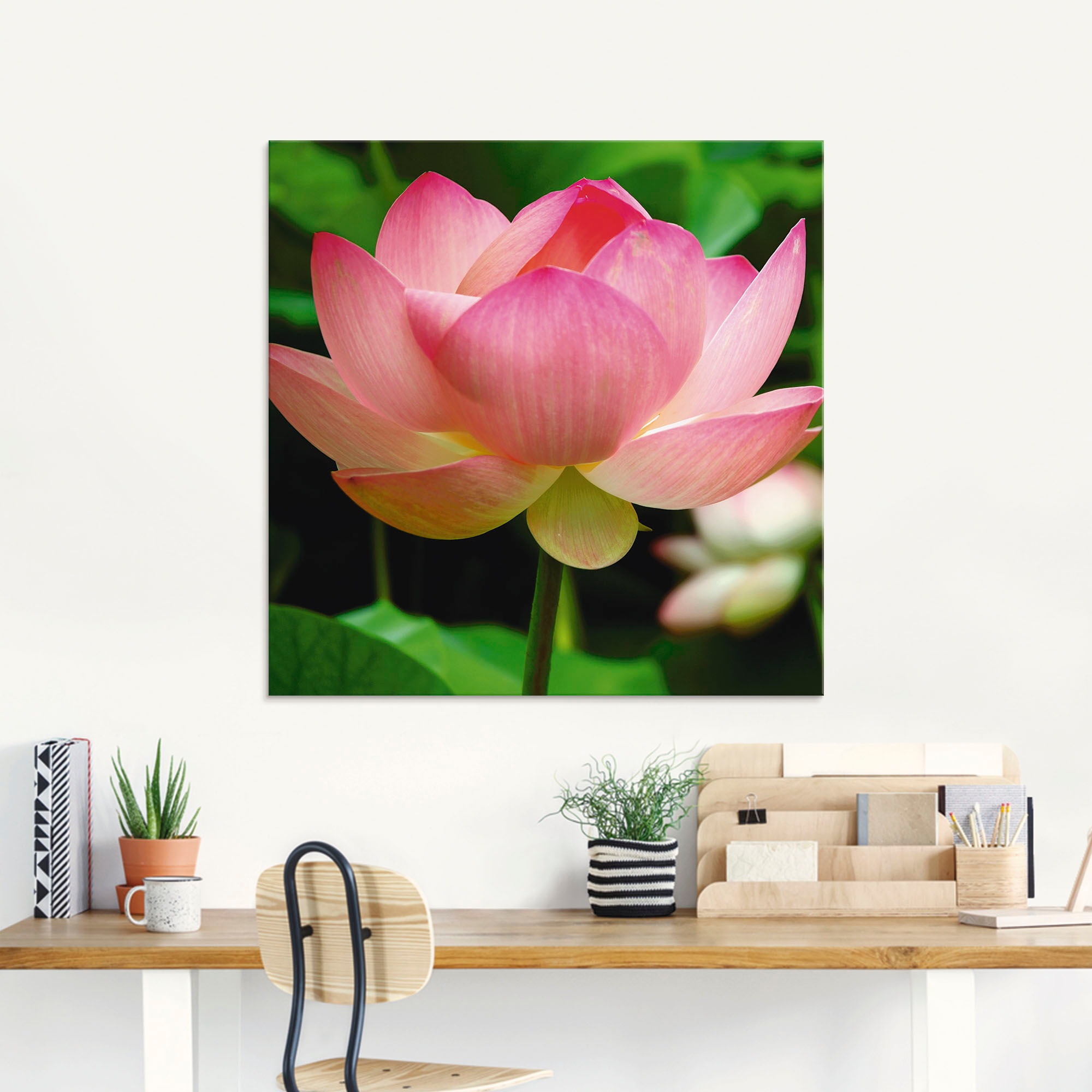 Artland Glasbild »Lotus - Seerose«, Blumen, (1 St.), in verschiedenen Grössen