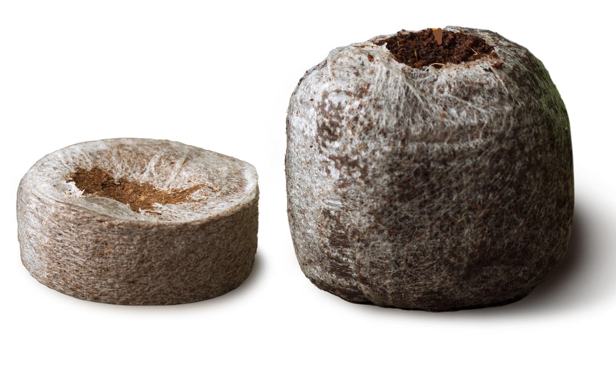 Gusta Garden Pot de fleurs »HERBS«