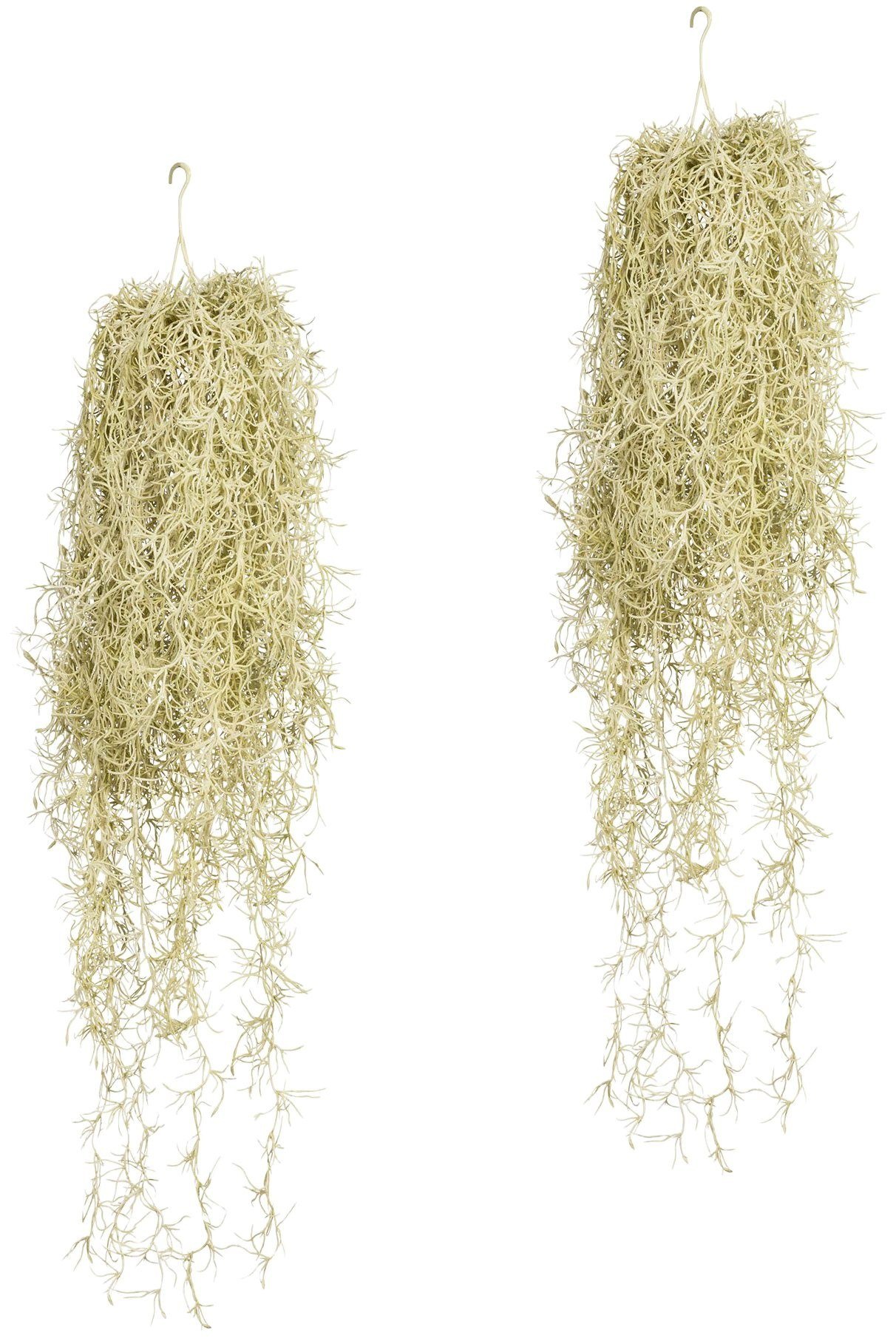 Image of Creativ green Kunstranke »Tillandsia-Hängezopf«, (Set, 2 St.) bei Ackermann Versand Schweiz