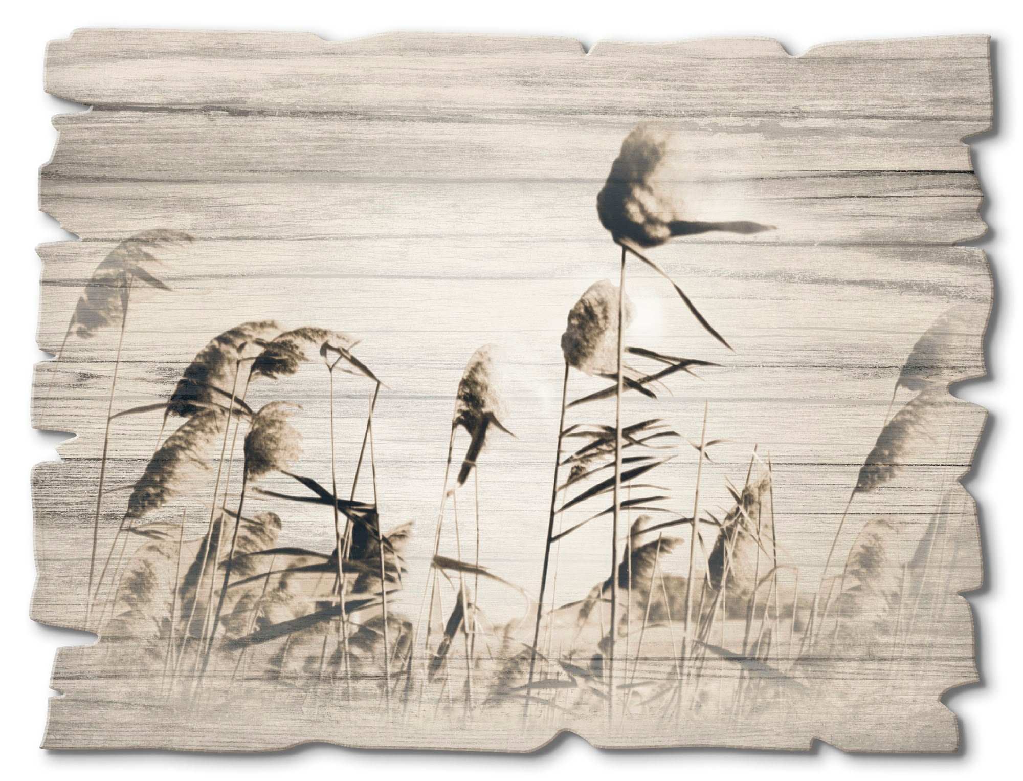 Image of Artland Holzbild "Gräser" Gräser 1 Stk. tlg.