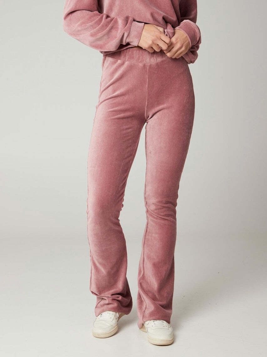 Protest Trainingshose »Trainerhose PRTGARNET«