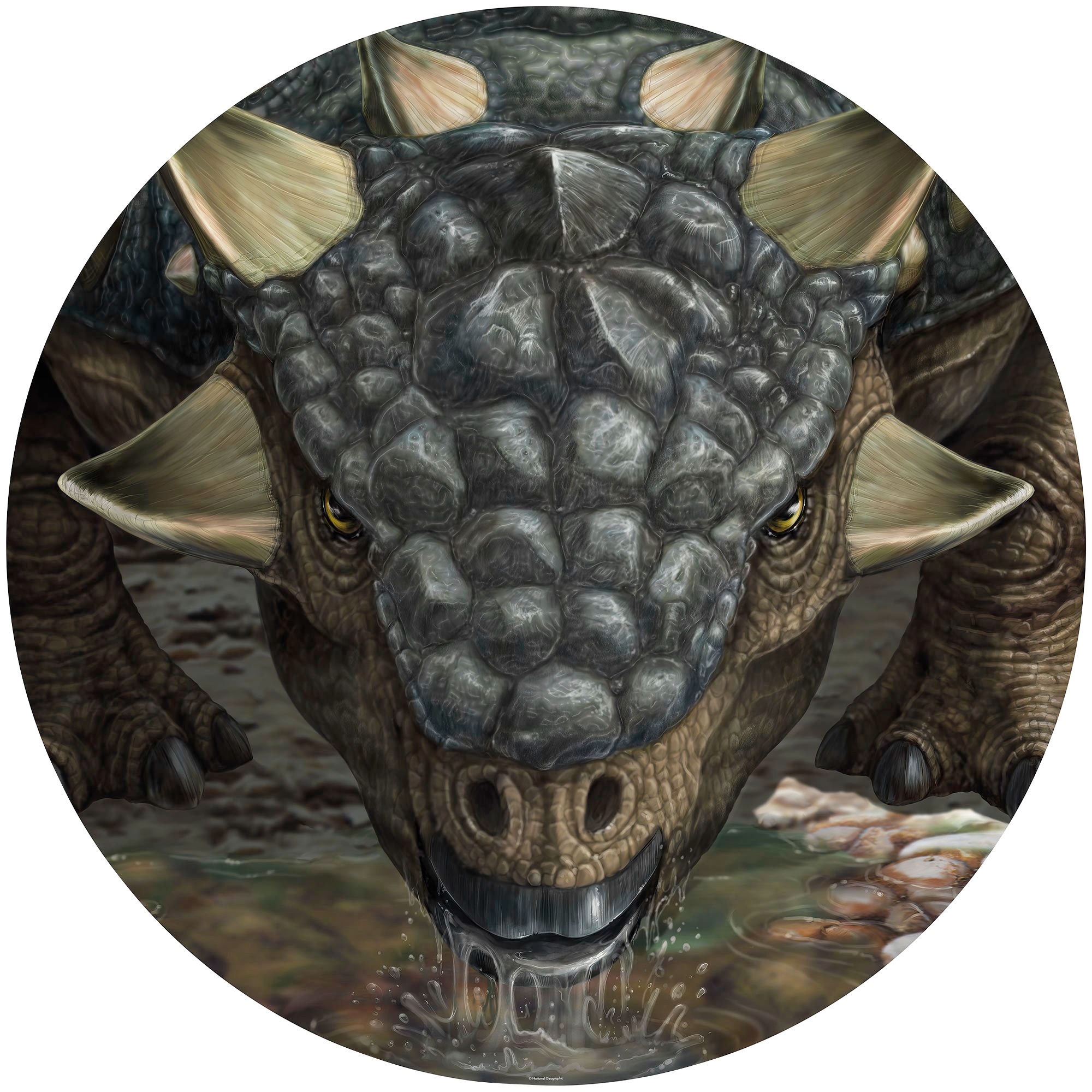 Image of Komar Fototapete »Tarchia«, bedruckt-Comic-Retro-mehrfarbig, BxH: 128x128 cm, selbstklebend bei Ackermann Versand Schweiz