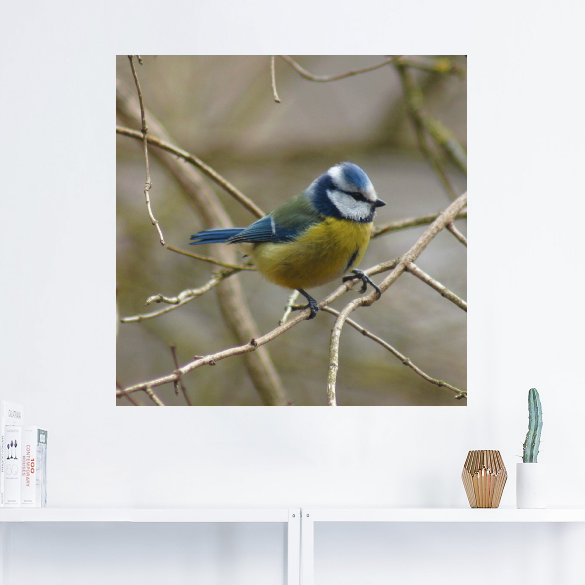 Artland Wandbild »Blaumeise«, Vögel, (1 St.), als Leinwandbild, Wandaufkleber in verschied. Grössen