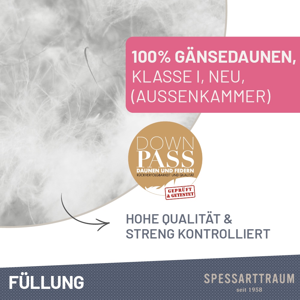 SPESSARTTRAUM 3-Kammer-Kopfkissen »Premium« Füllung: 100% Gänsedaunen, Klasse 1, Downpass zertifiziert (Aussenkammern) 1 Stk. tlg. gute Stützkraft, Seitenschläfer & Rückenschläfer